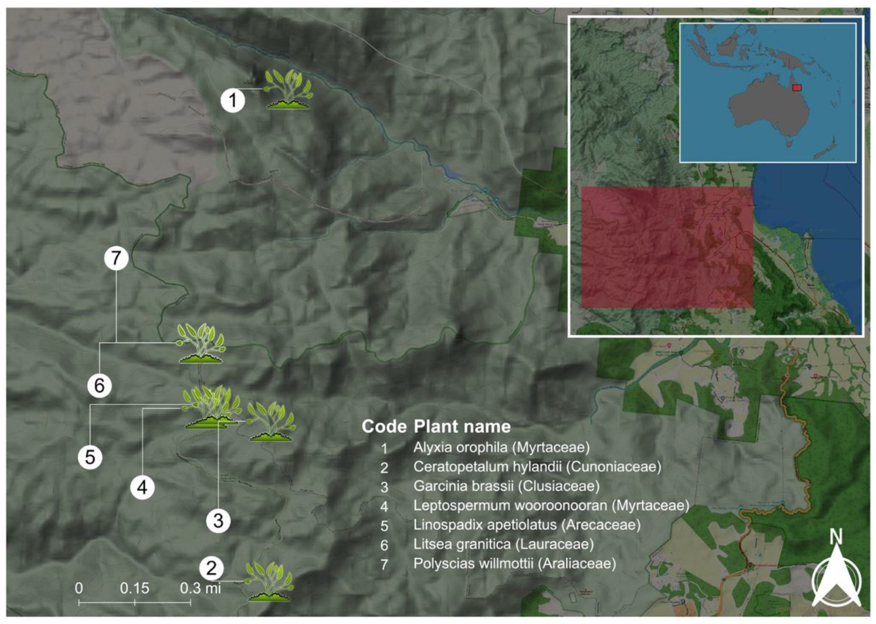Plants 11 02519 g004