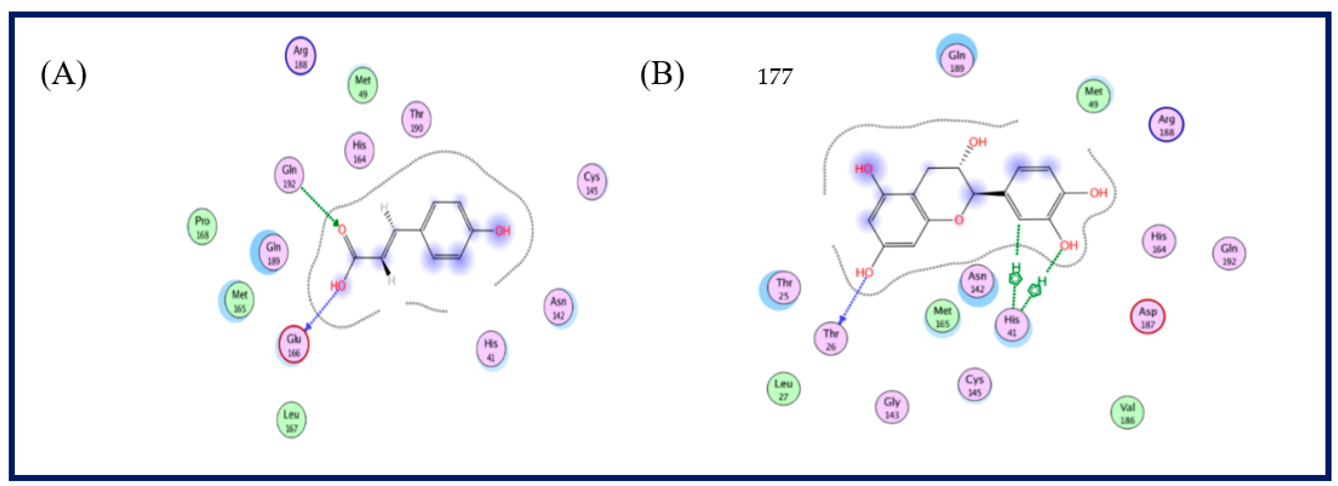Plants 11 02521 g004
