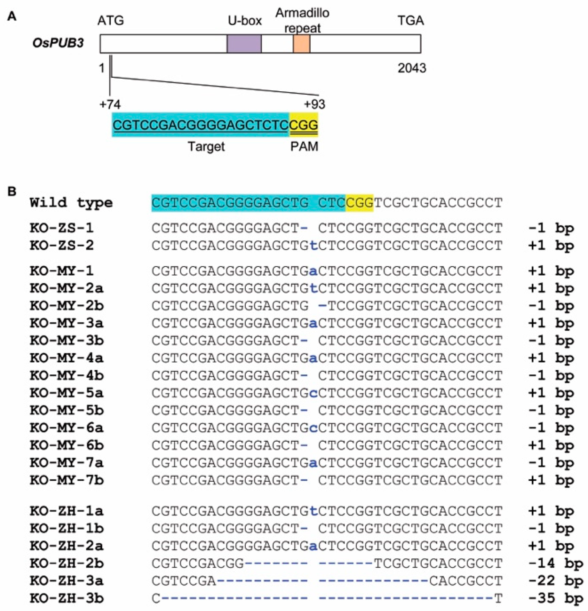 Plants 11 02530 g001 Plants 11 02530 g001