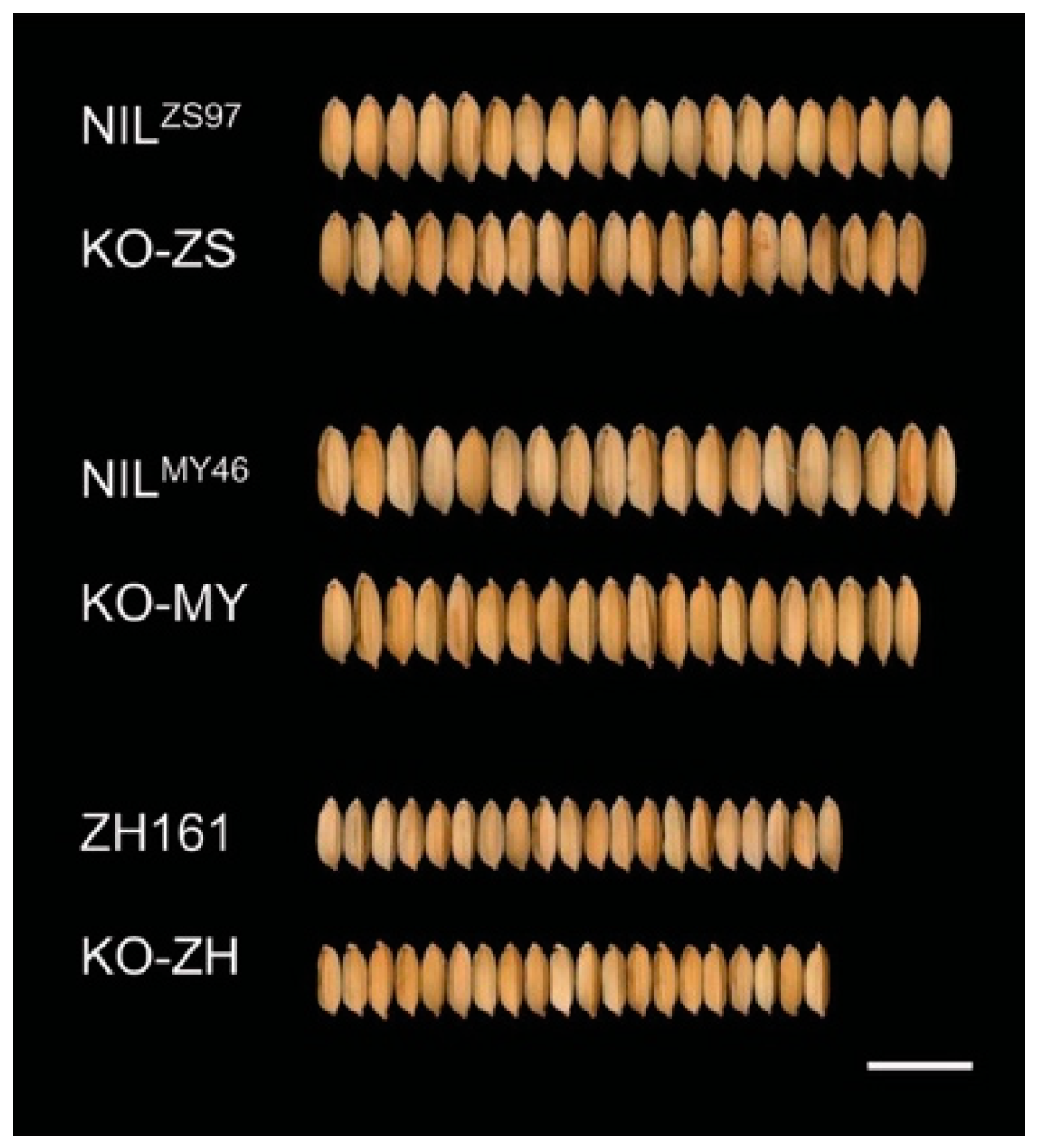 Plants 11 02530 g002 Plants 11 02530 g002