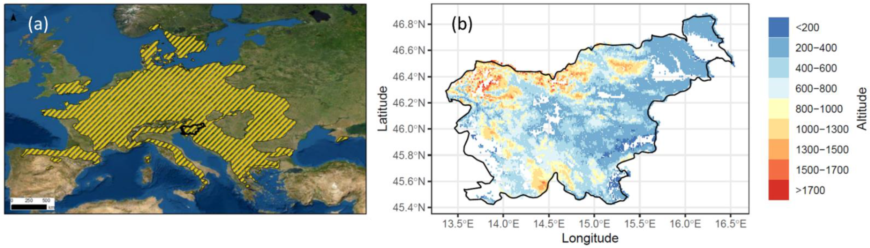 Plants 11 02541 g001
