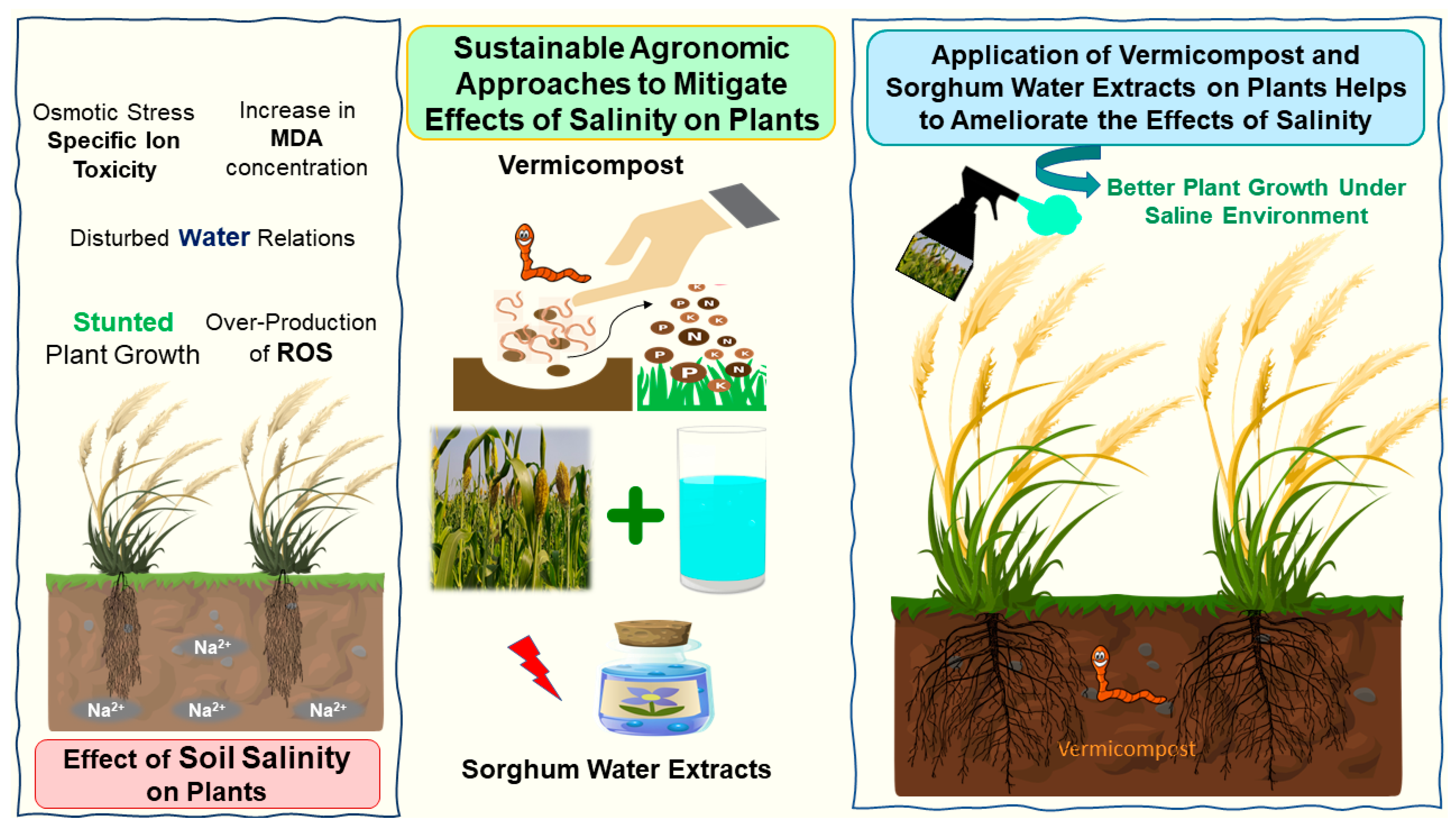 Plants 11 02548 g008