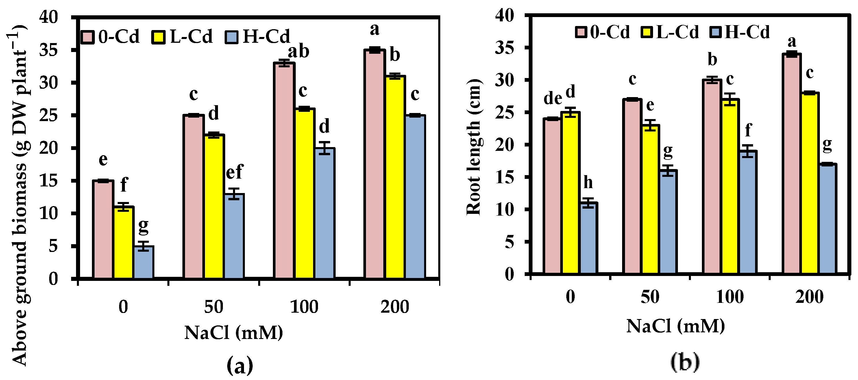 Plants 11 02556 g001