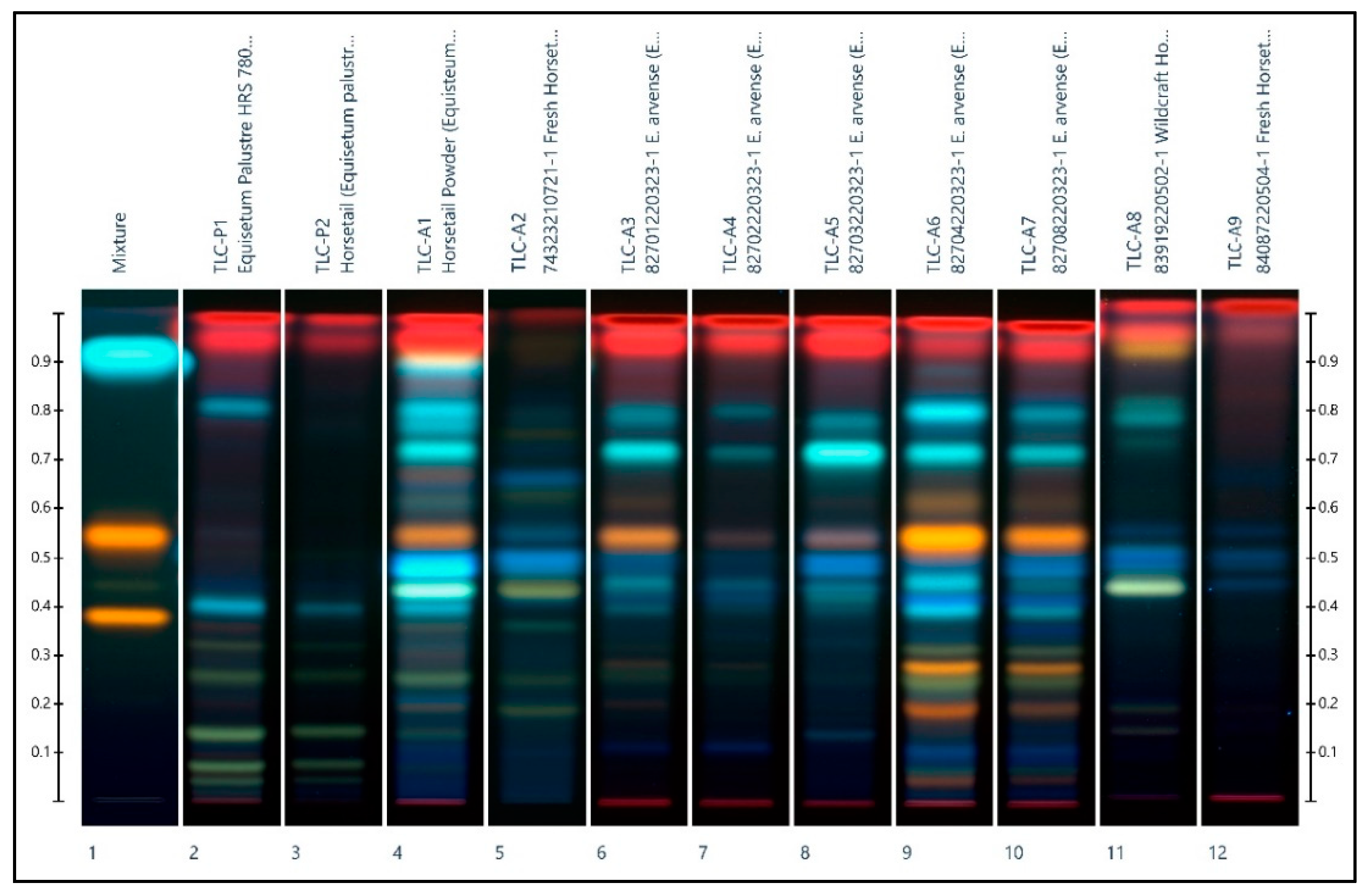 Plants 11 02562 g002