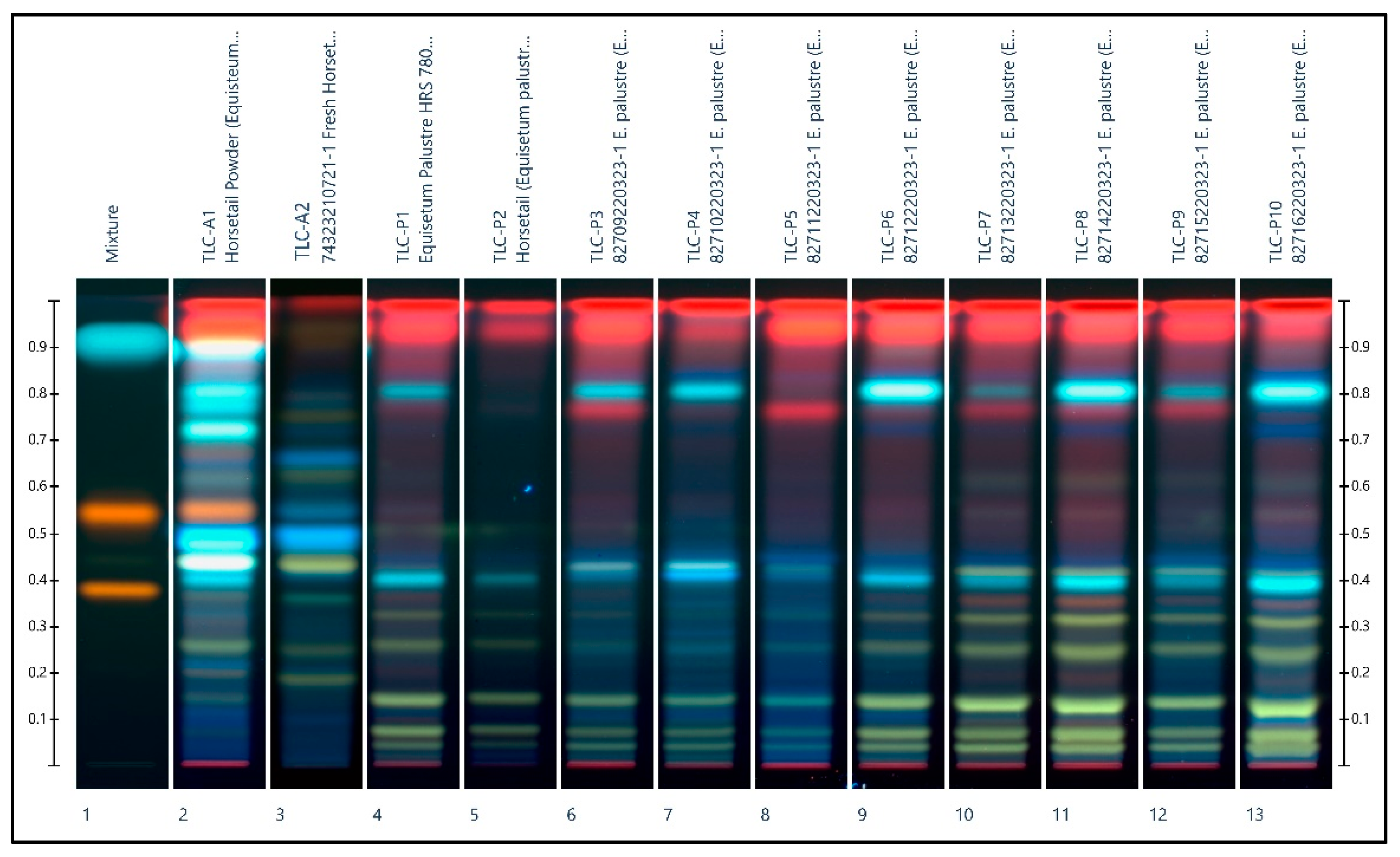 Plants 11 02562 g003