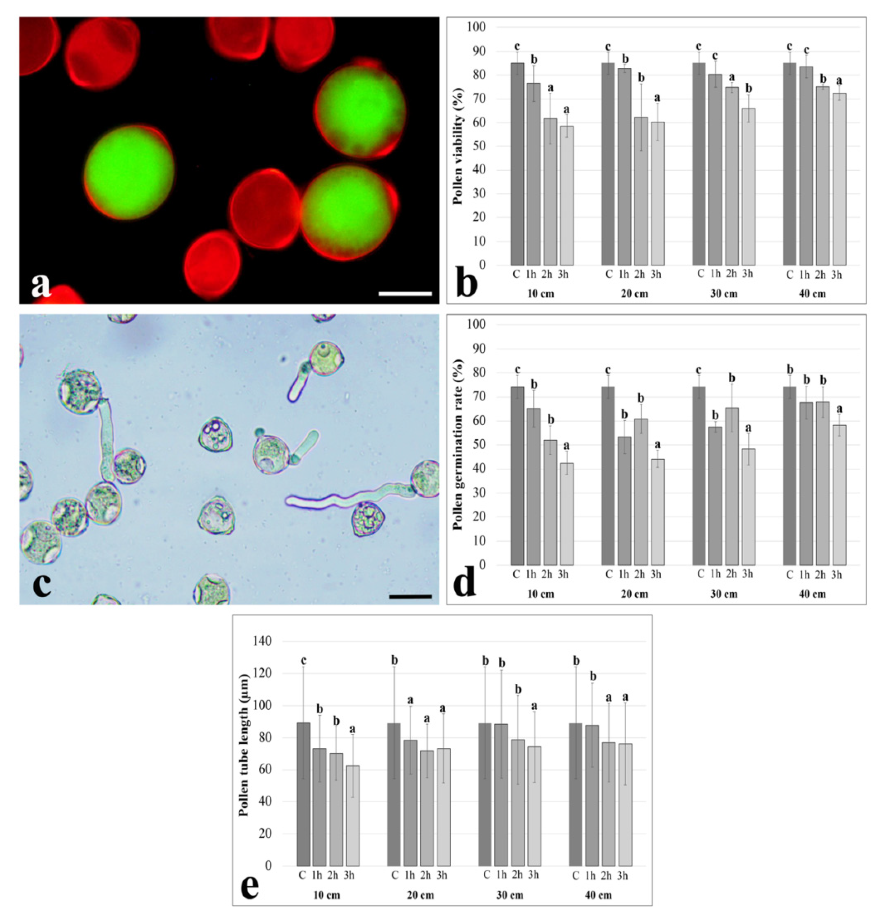 Plants 11 02574 g001