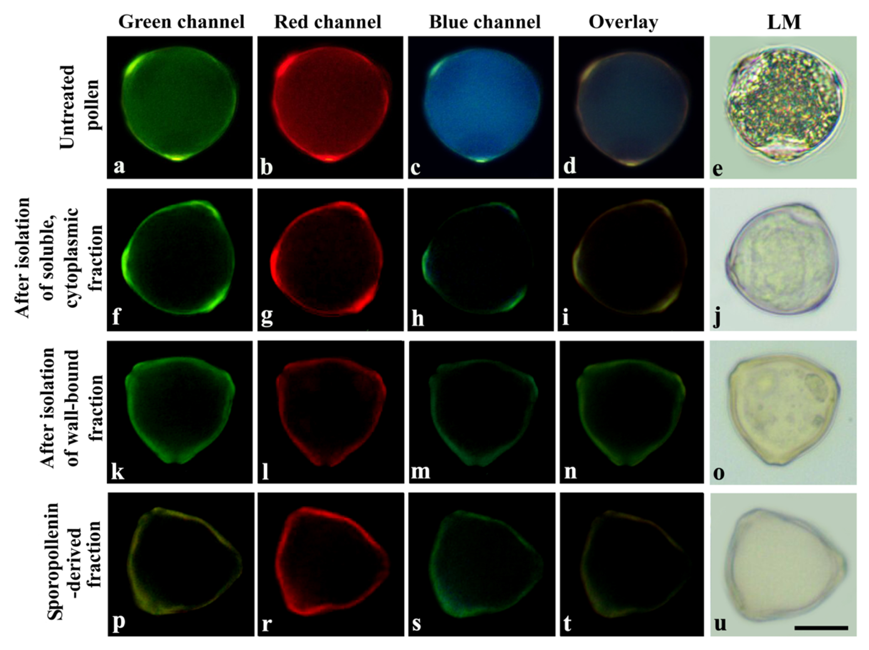 Plants 11 02574 g003