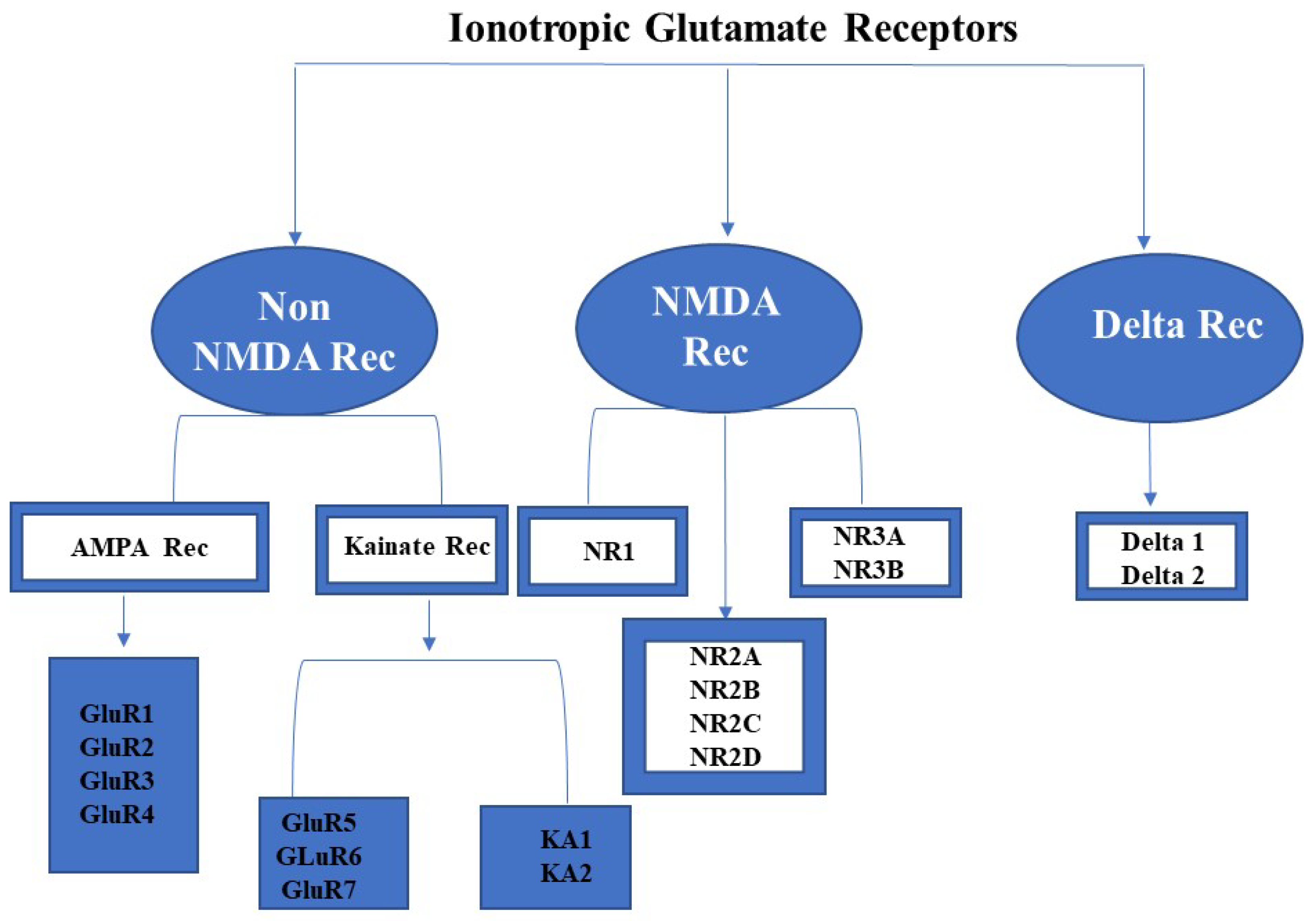 Plants 11 02580 g001