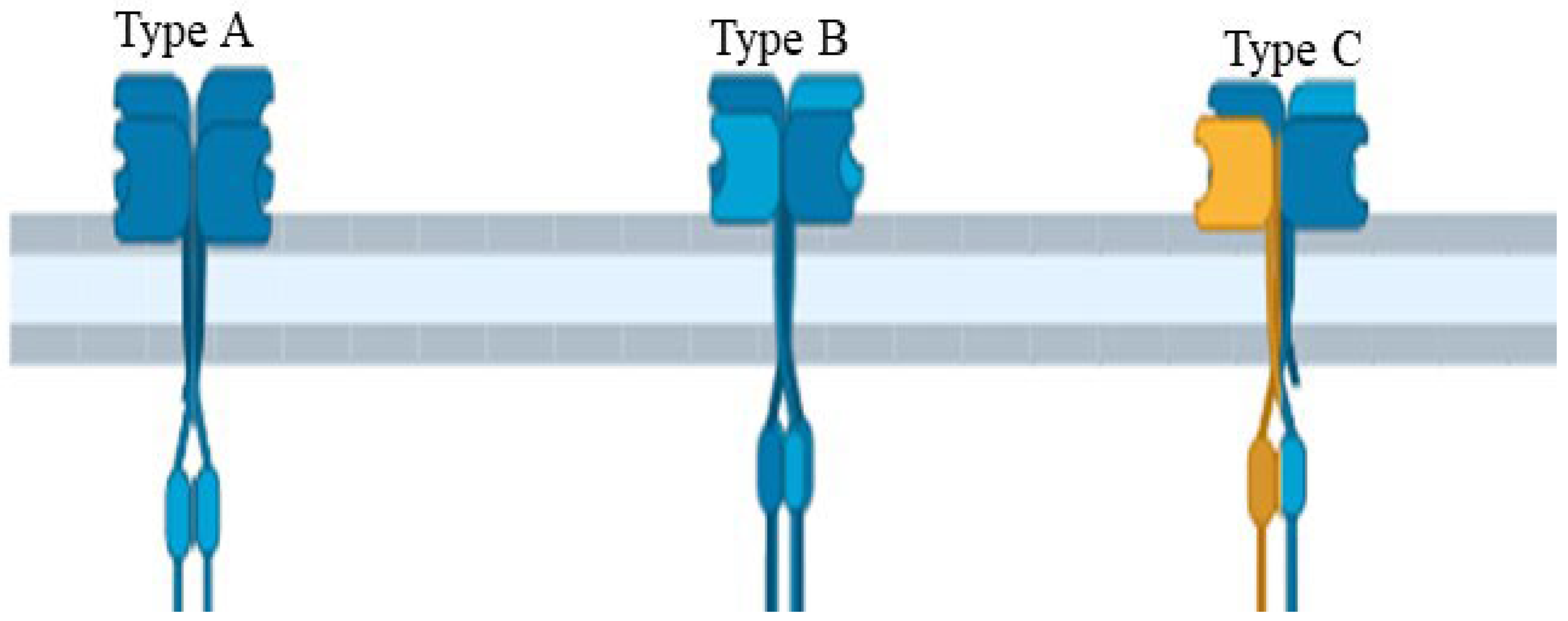 Plants 11 02580 g004