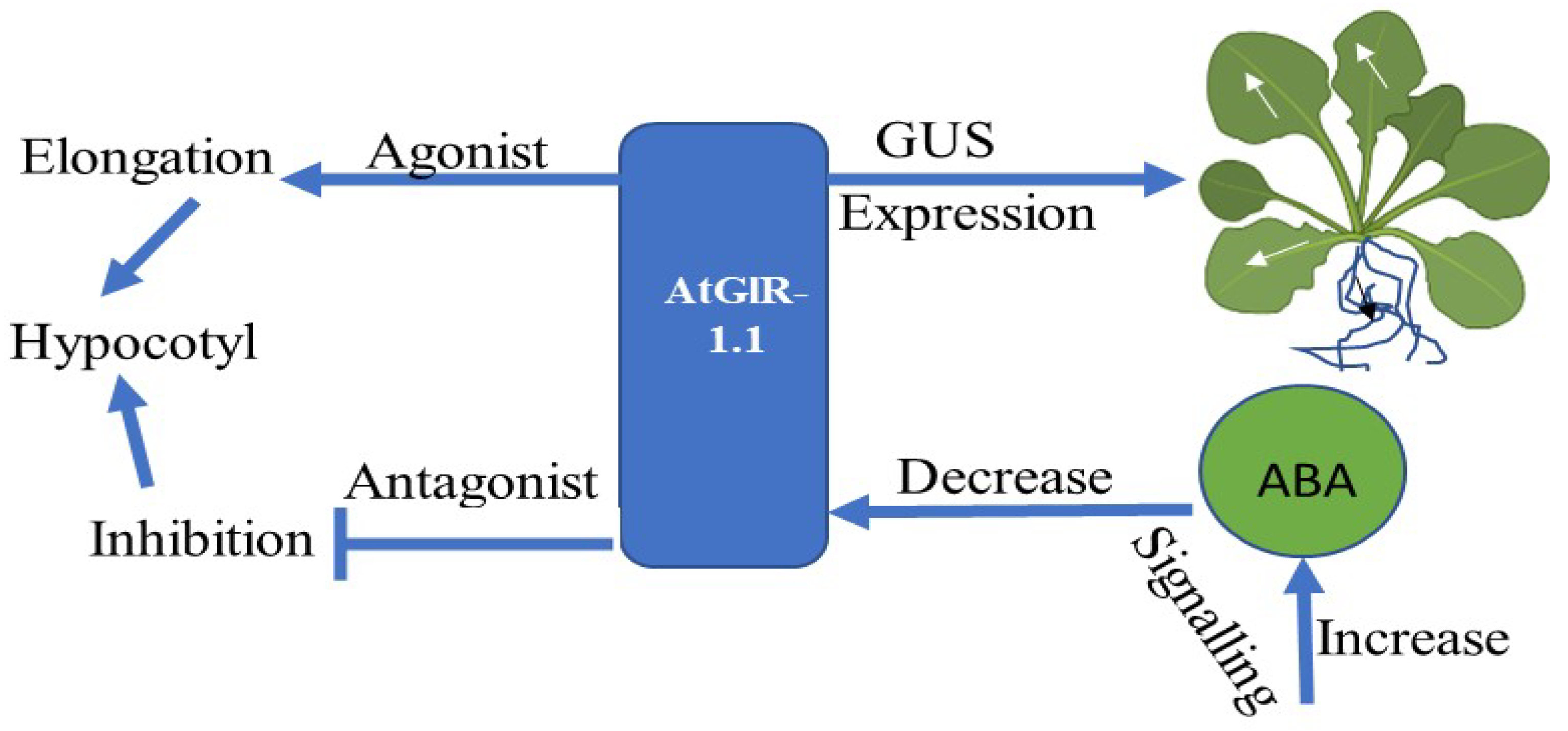 Plants 11 02580 g005