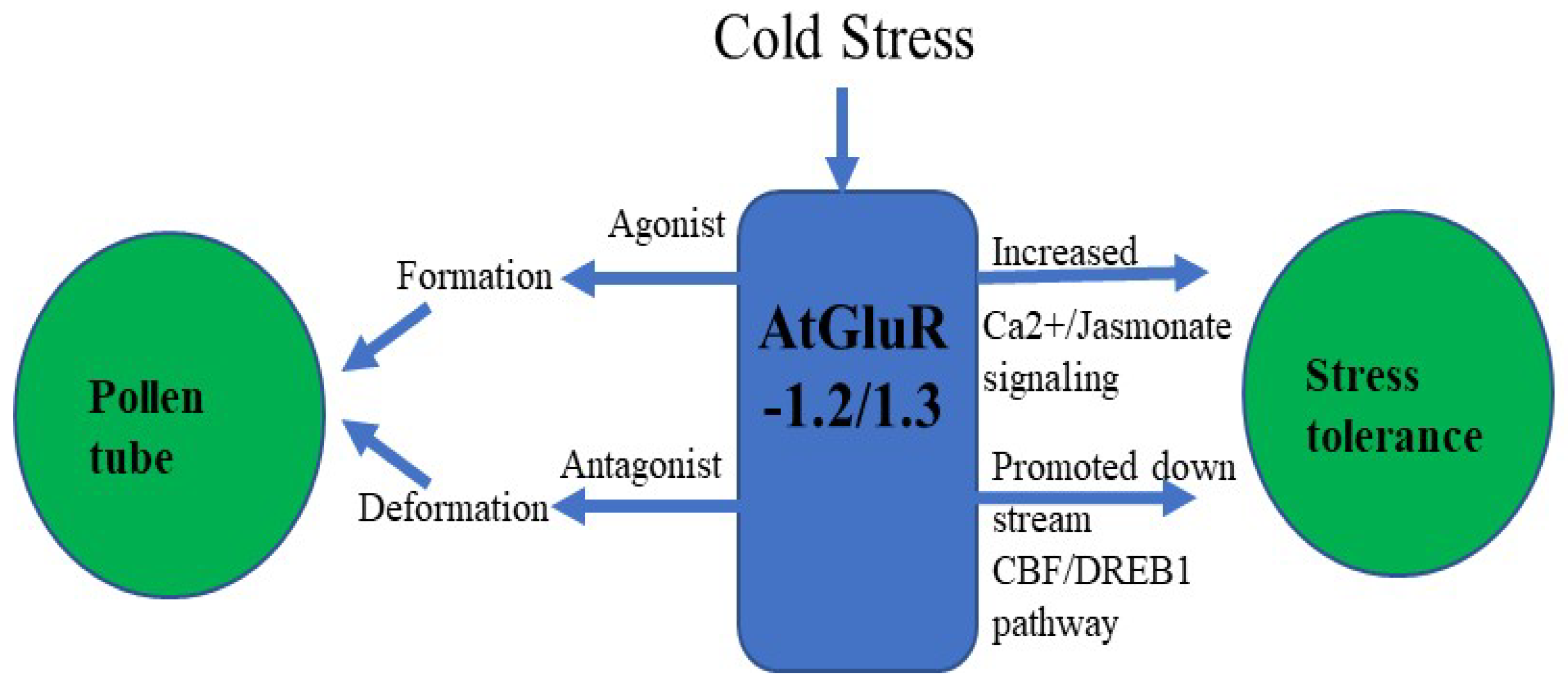 Plants 11 02580 g006
