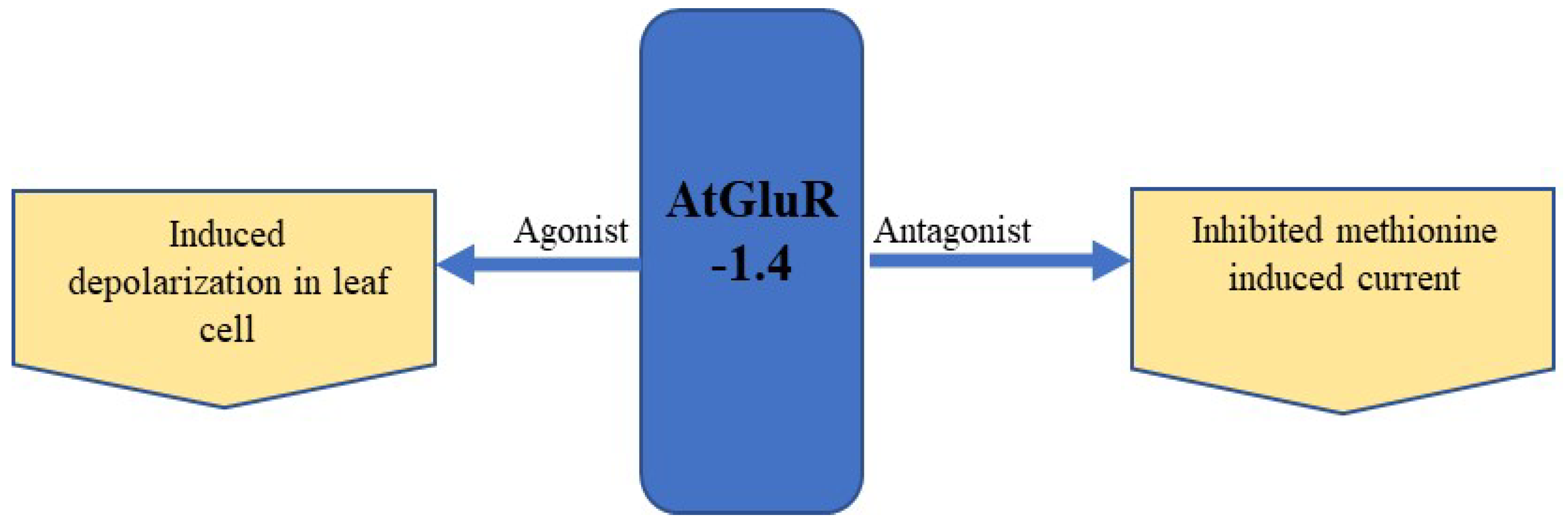 Plants 11 02580 g007