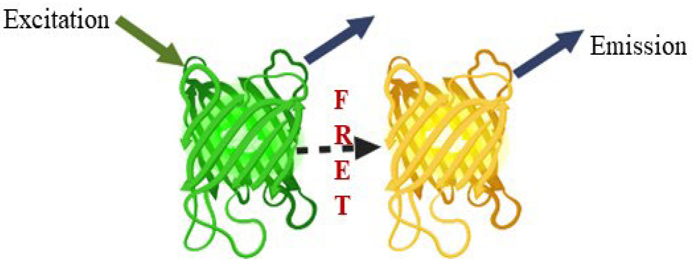 Plants 11 02580 g010