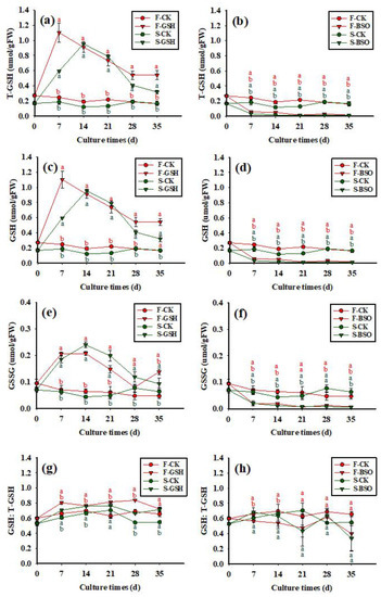 Plants 11 02586 g005 550
