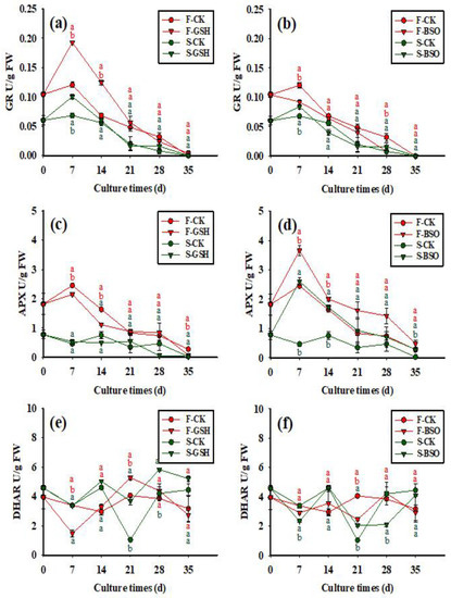 Plants 11 02586 g007 550