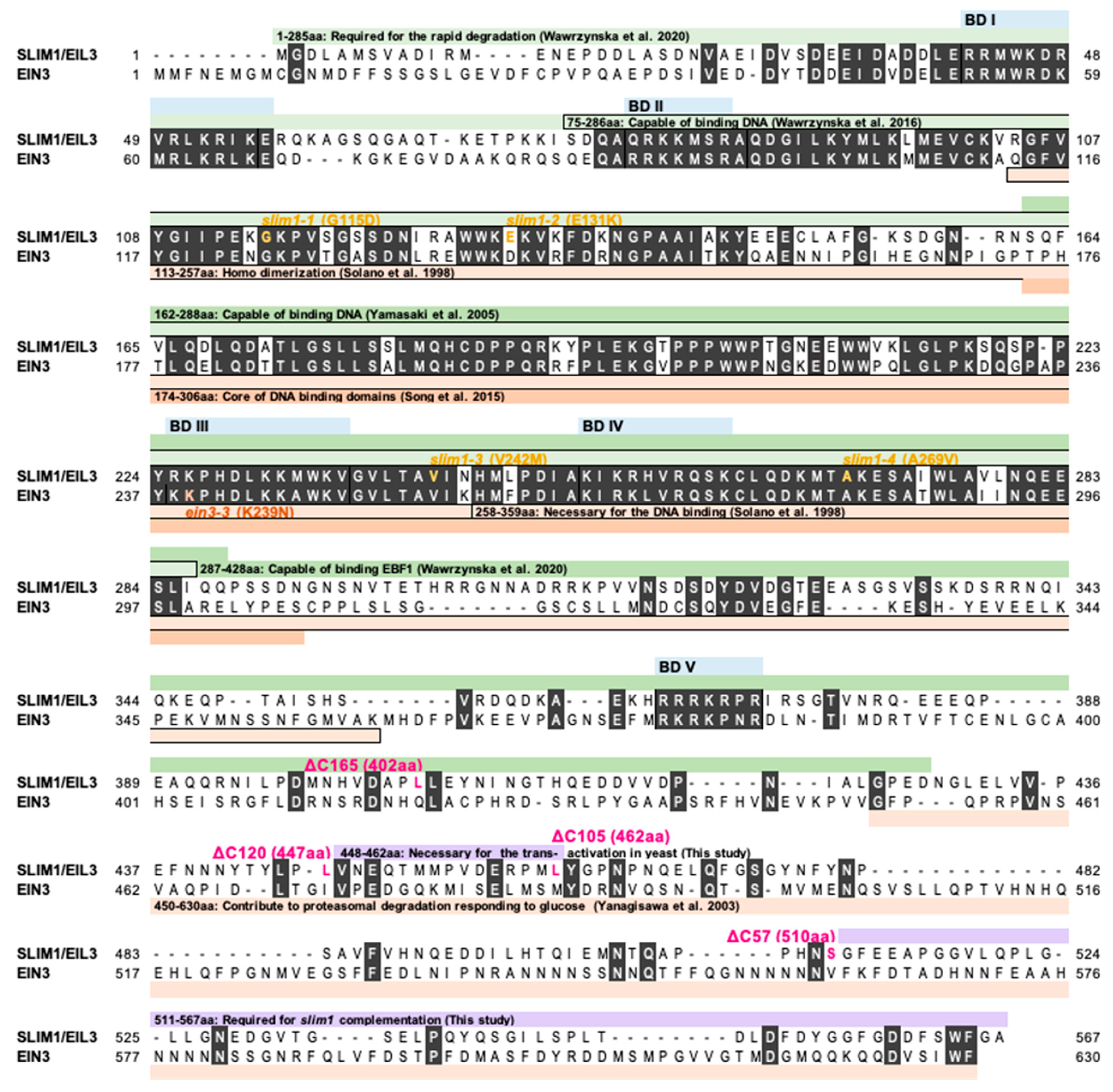 Plants 11 02595 g001 Plants 11 02595 g001