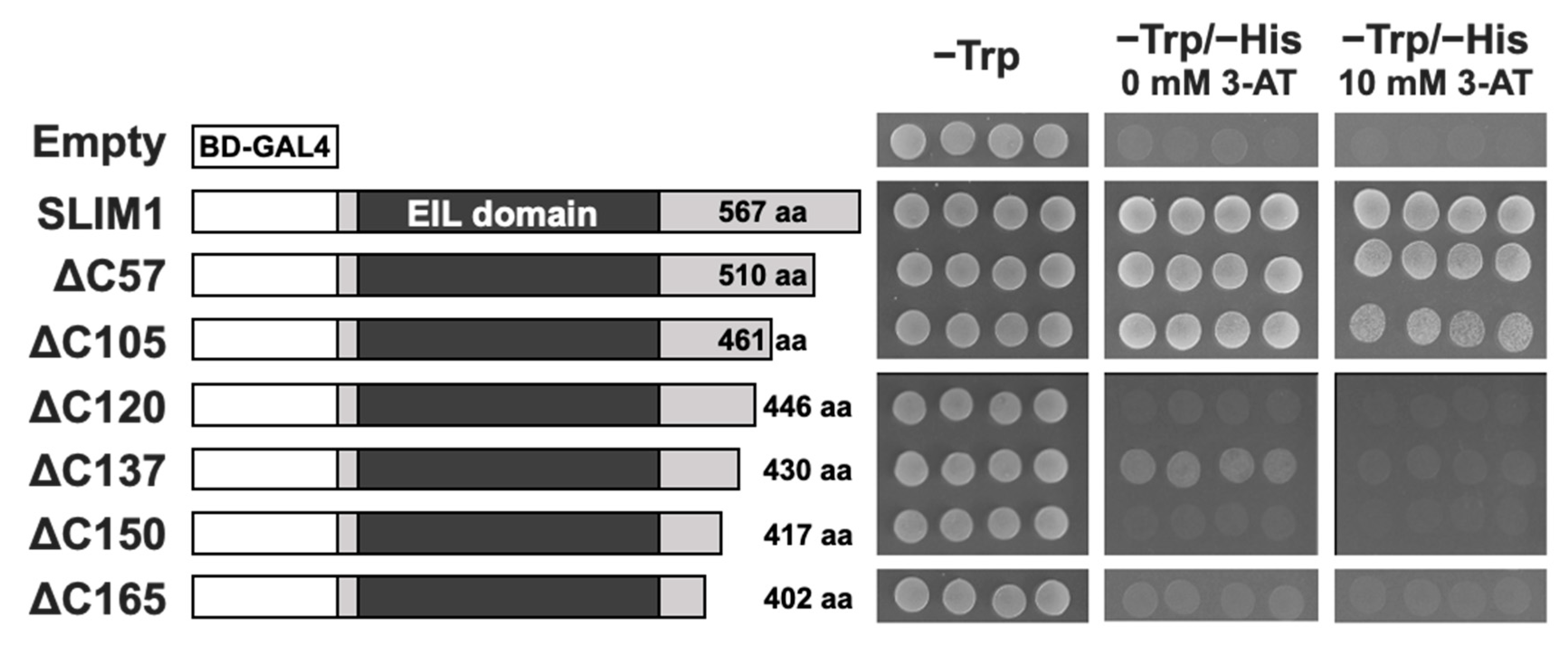 Plants 11 02595 g002 Plants 11 02595 g002