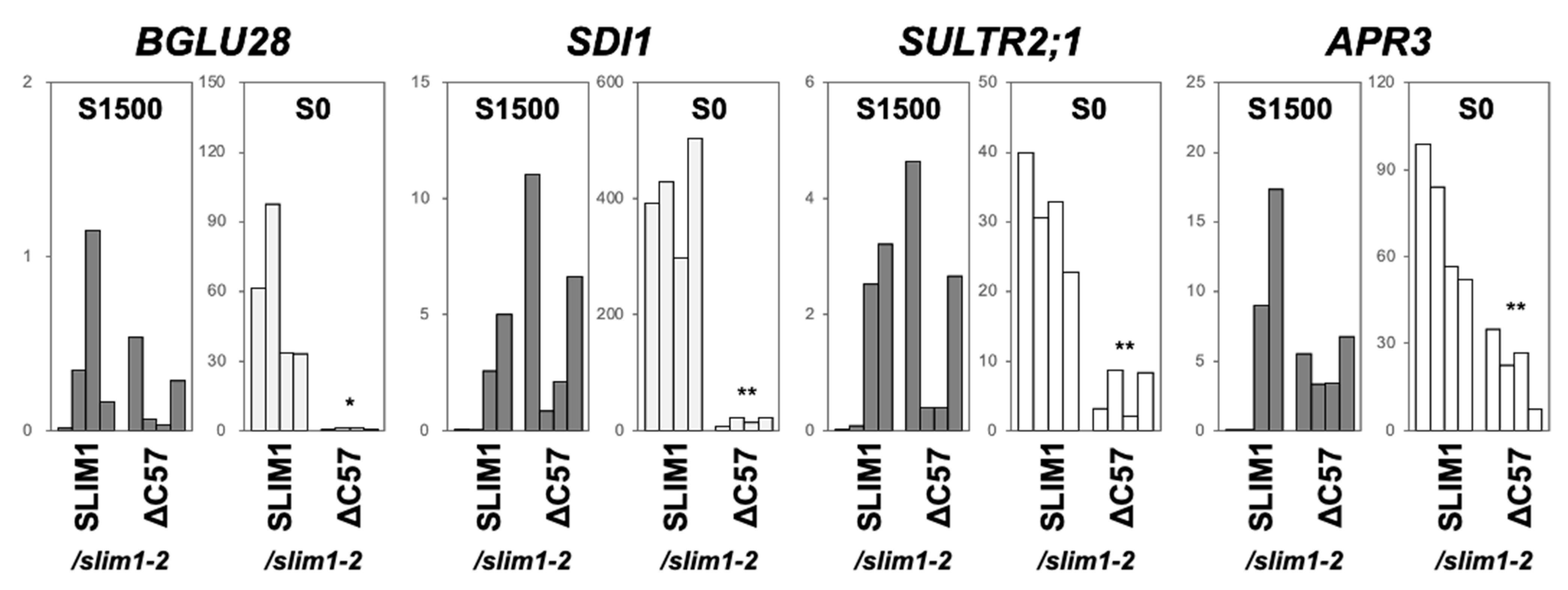Plants 11 02595 g004 Plants 11 02595 g004