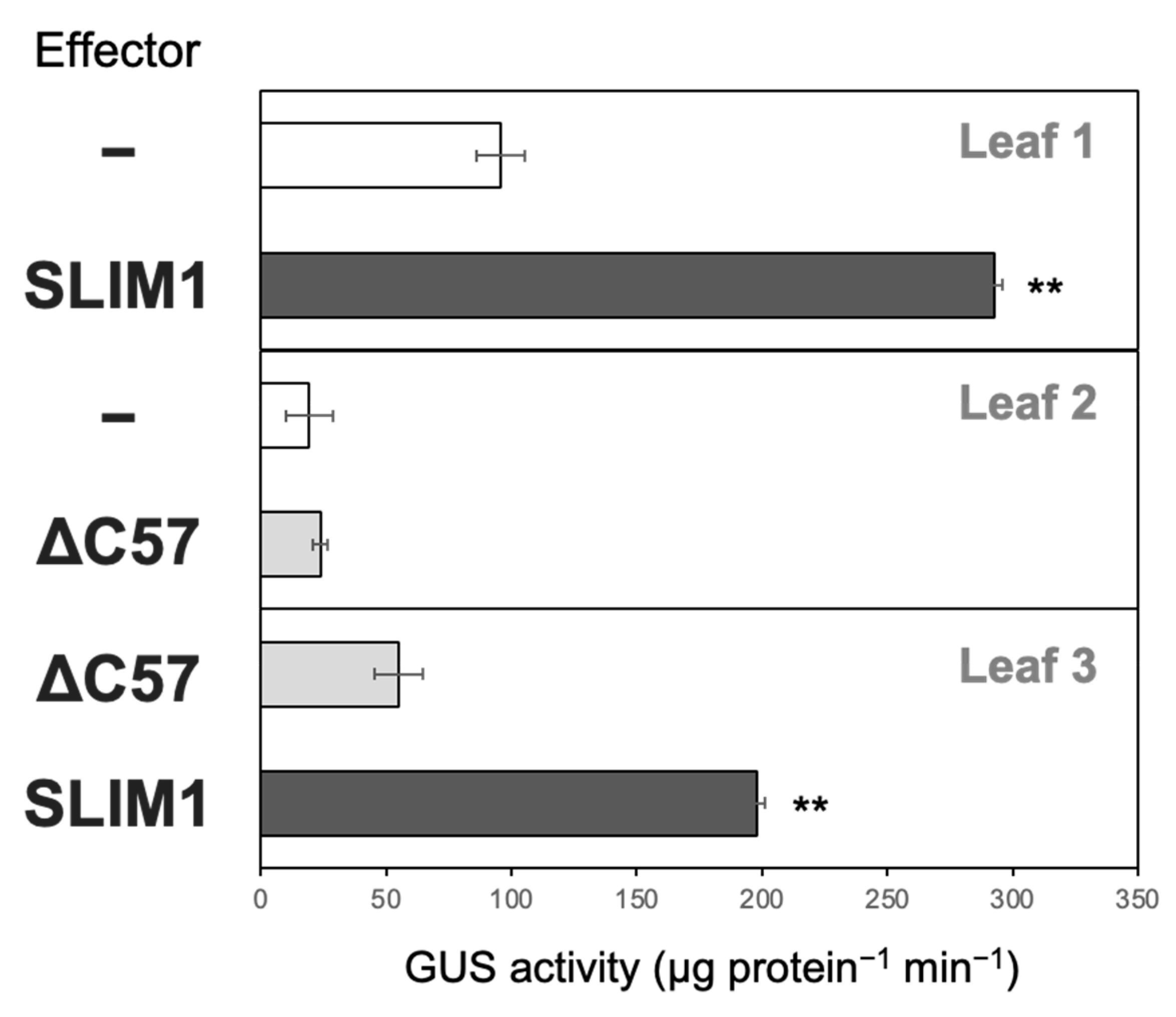 Plants 11 02595 g006 Plants 11 02595 g006