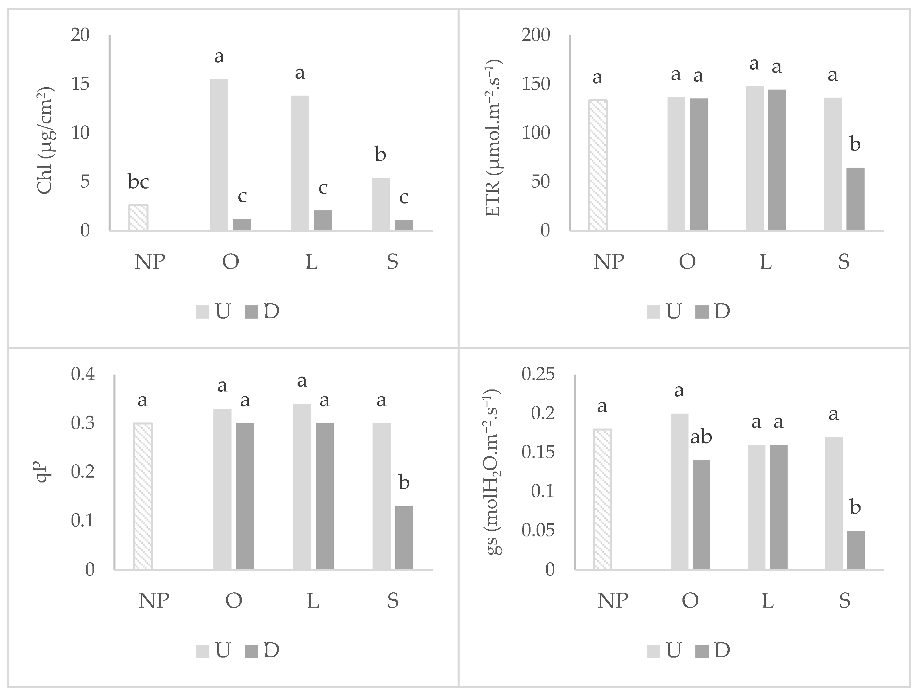 Plants 11 02598 g003
