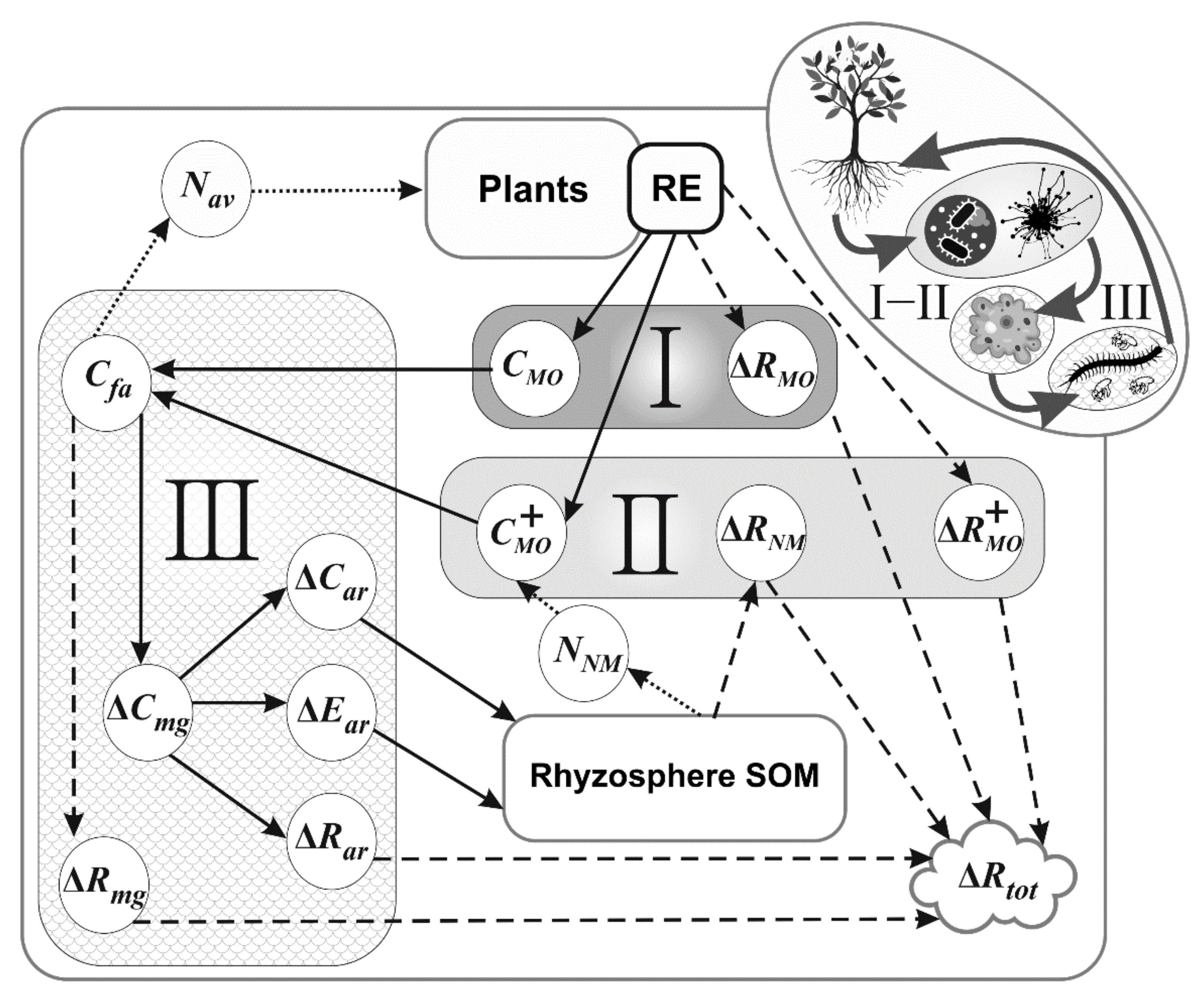 Plants 11 02605 g001