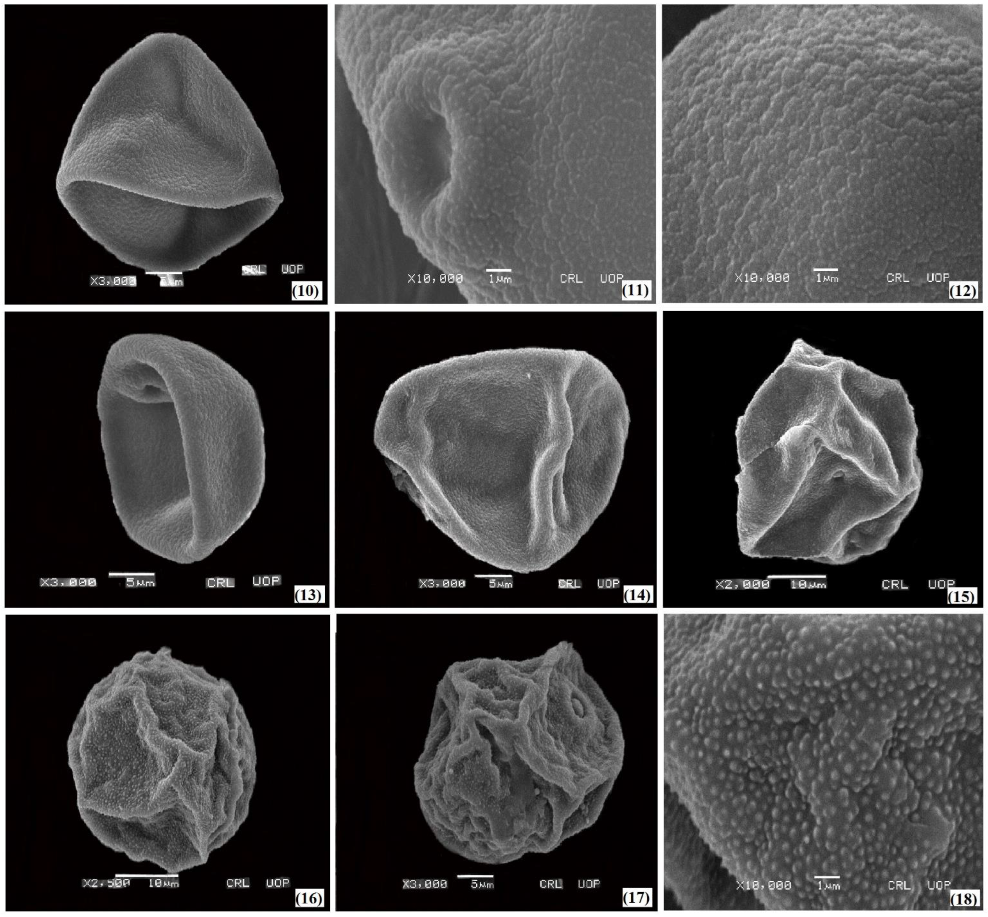 Plants 11 02618 g003