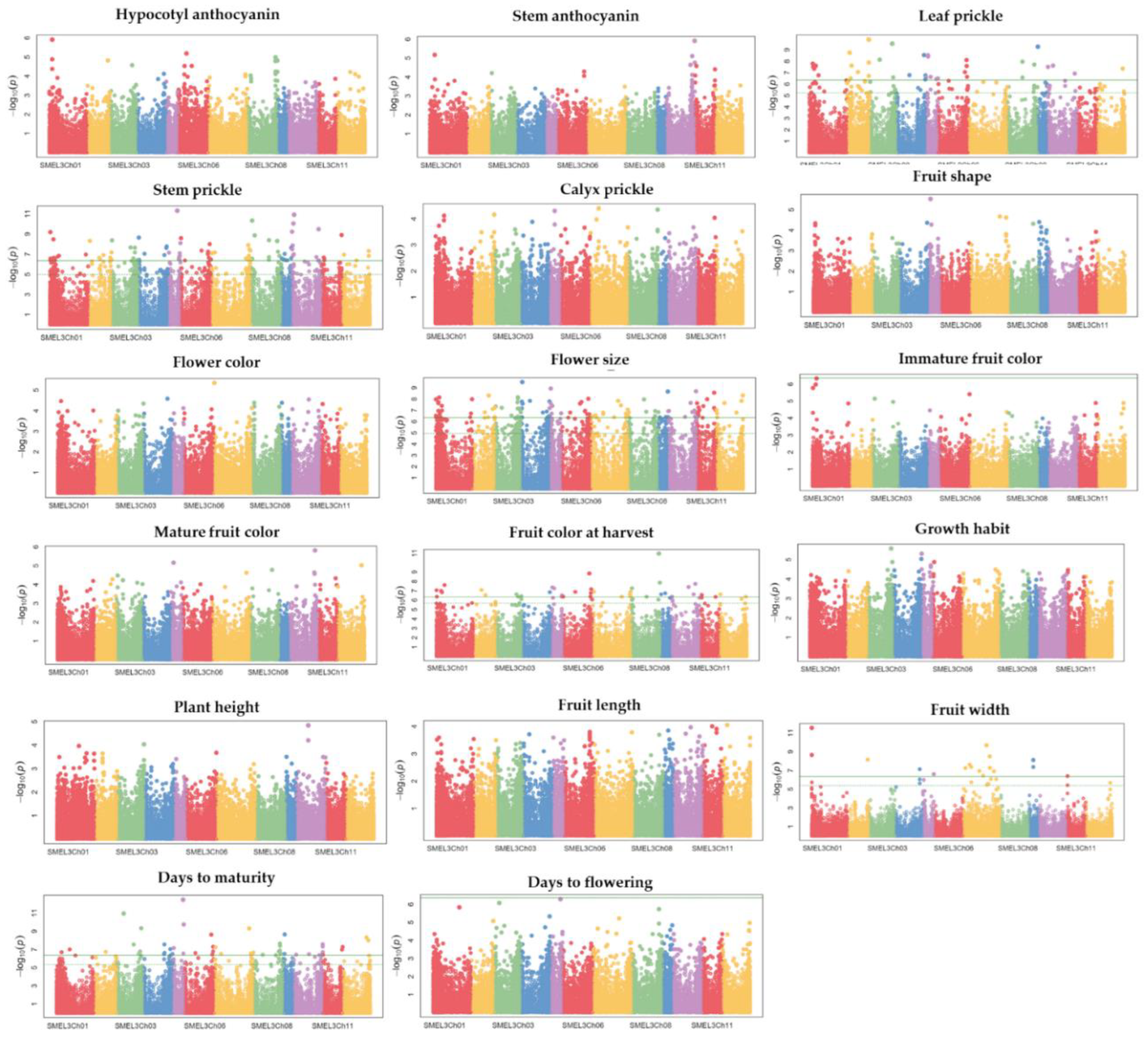 Plants 11 02627 g007