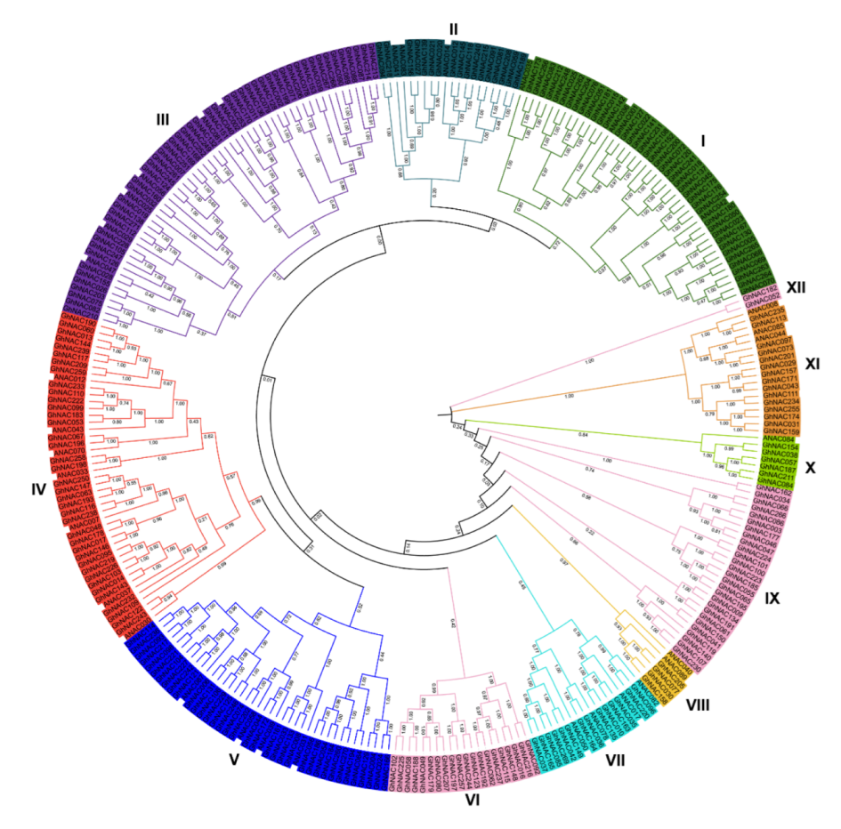 Plants 11 02661 g001