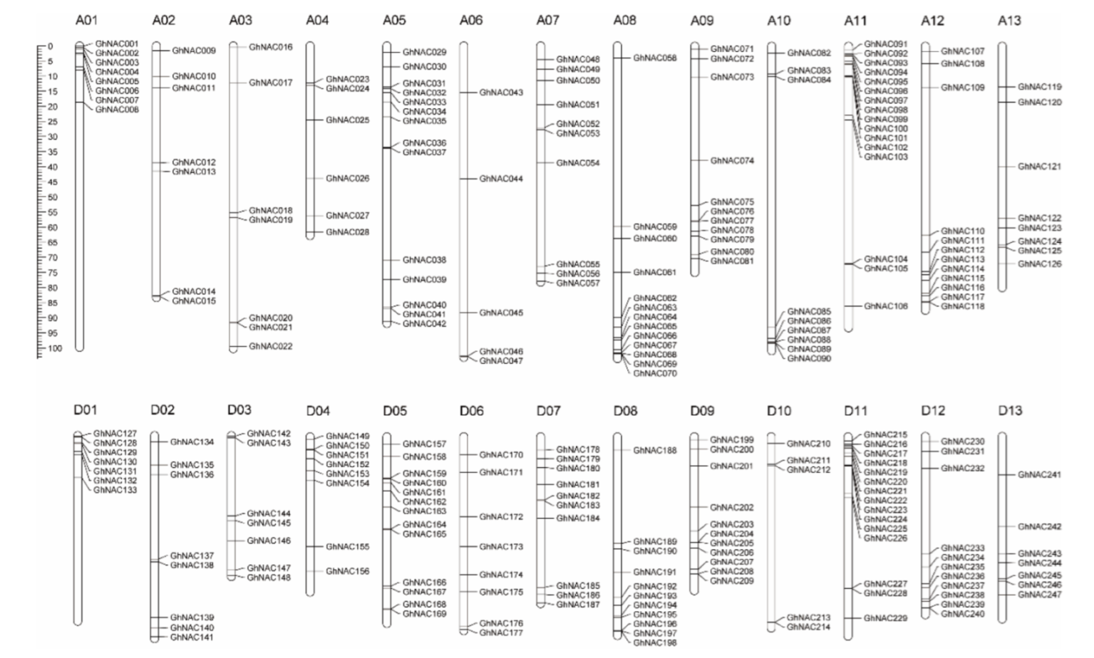 Plants 11 02661 g002