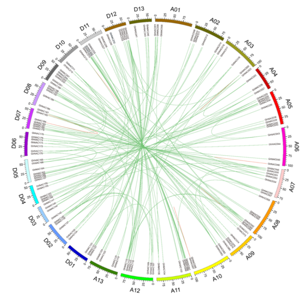 Plants 11 02661 g003