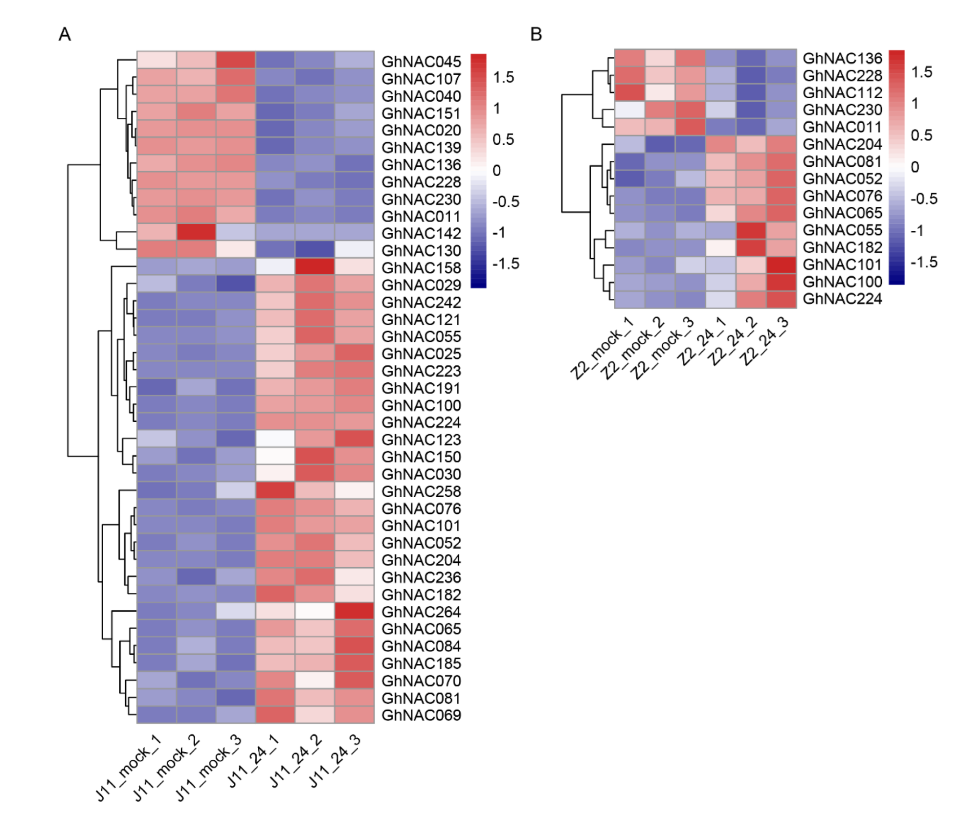 Plants 11 02661 g004