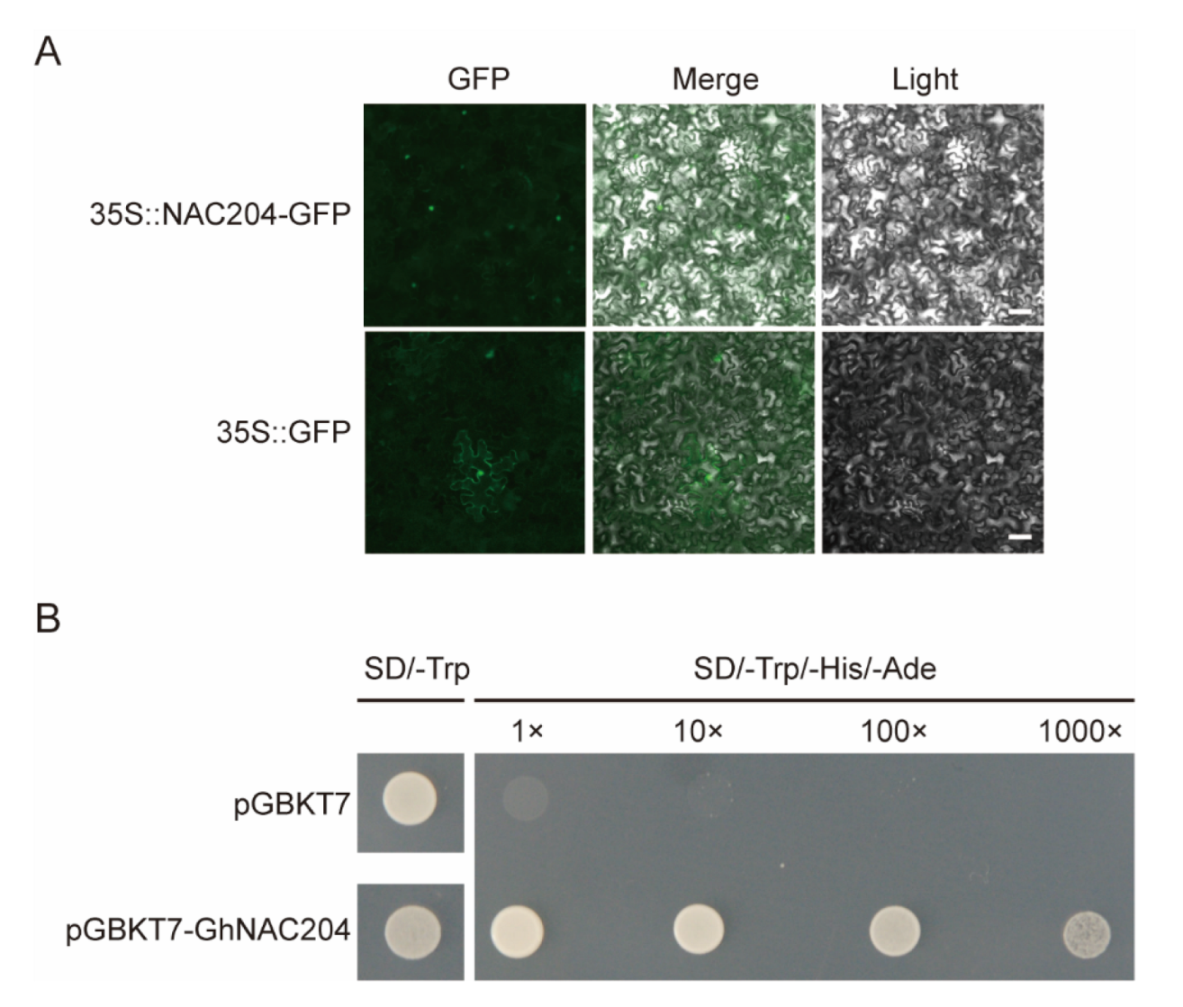 Plants 11 02661 g005