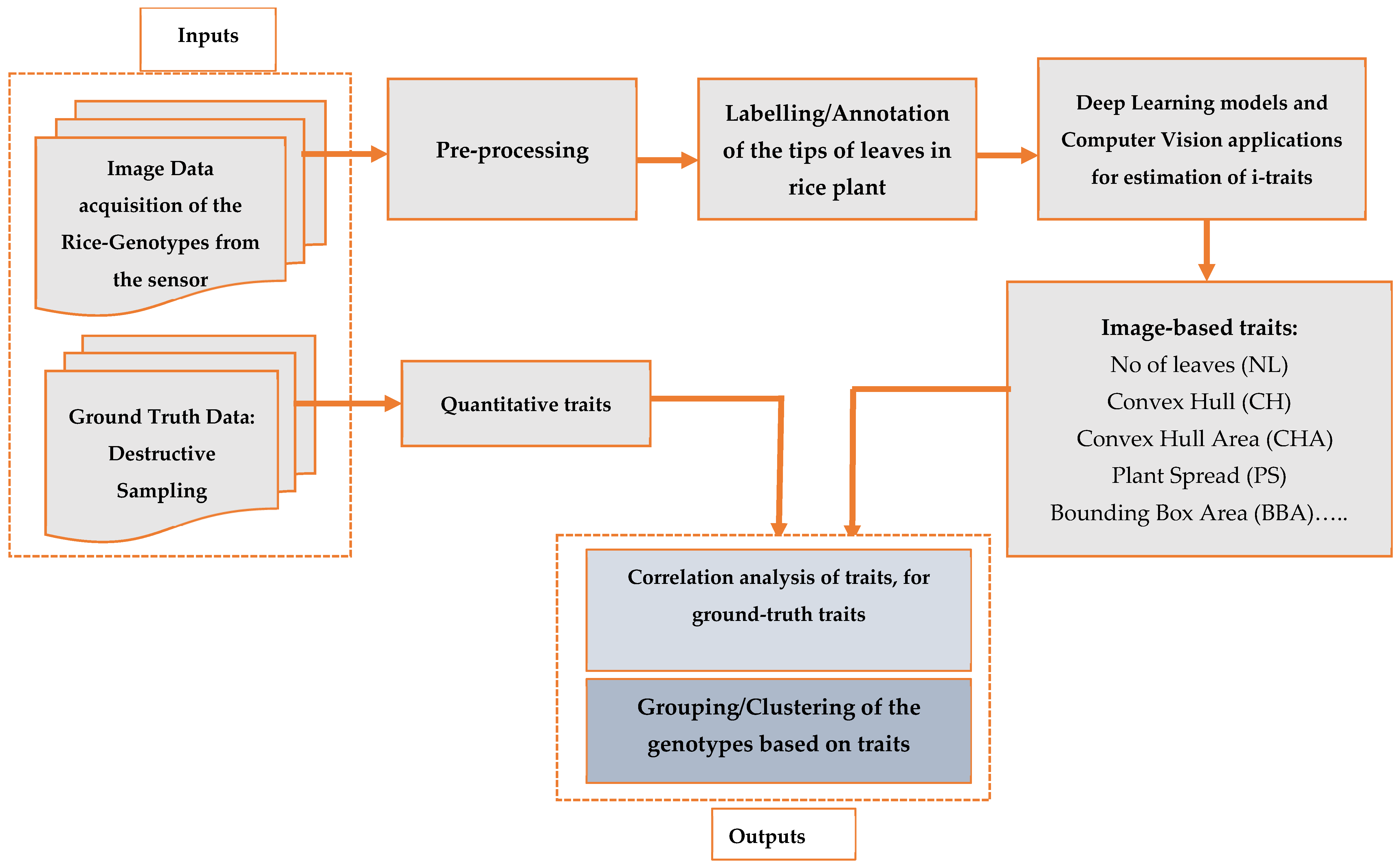 Plants 11 02663 g003