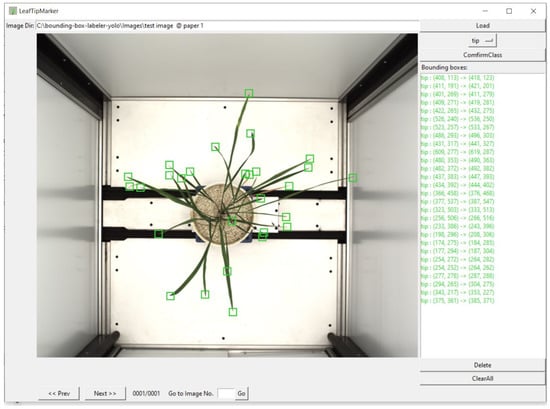 Plants 11 02663 g005