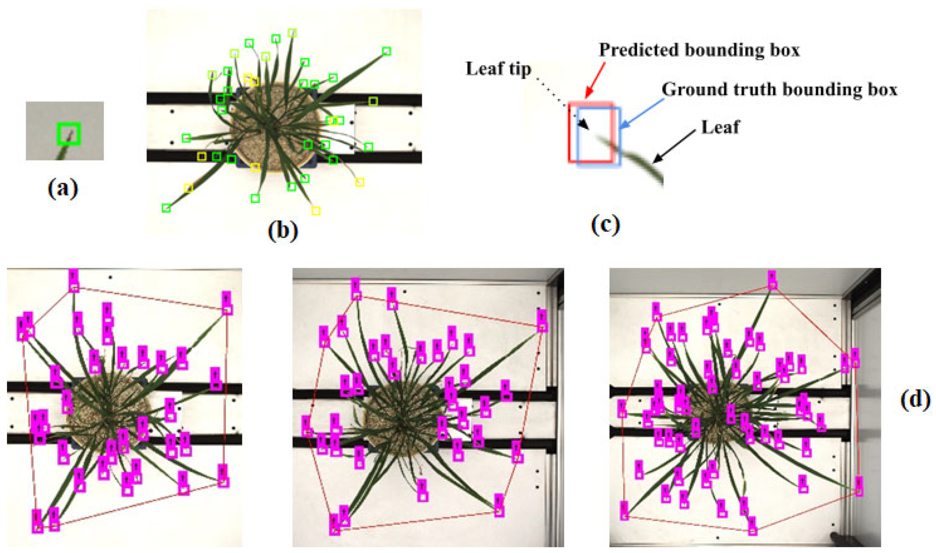 Plants 11 02663 g006