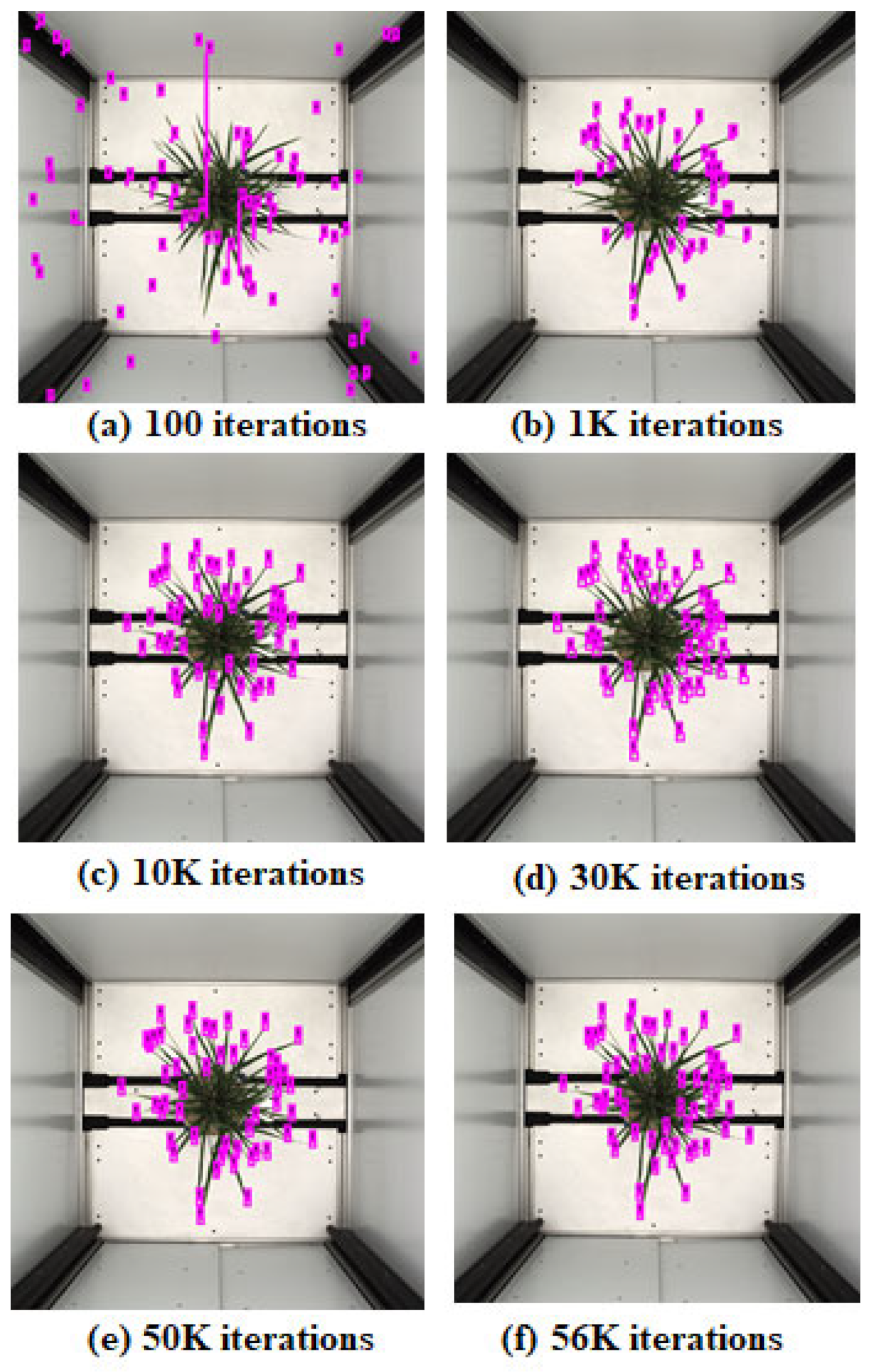 Plants 11 02663 g008