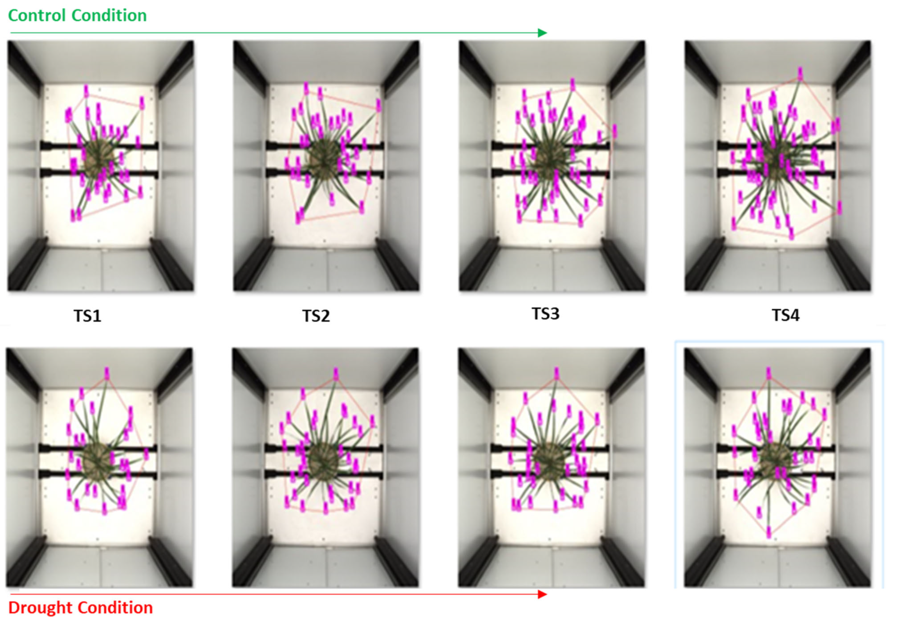 Plants 11 02663 g009