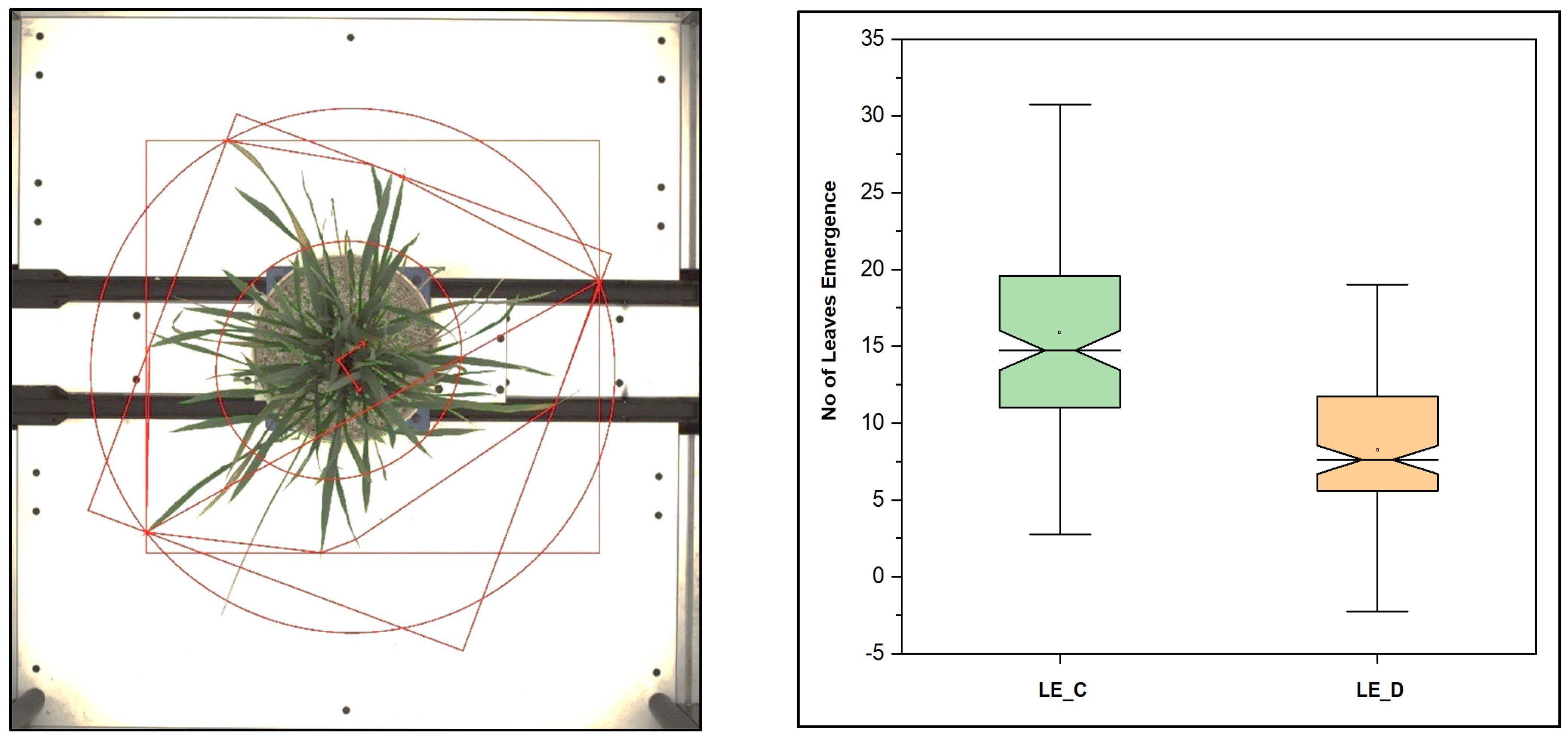 Plants 11 02663 g012