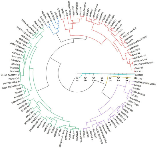 Plants 11 02663 g014