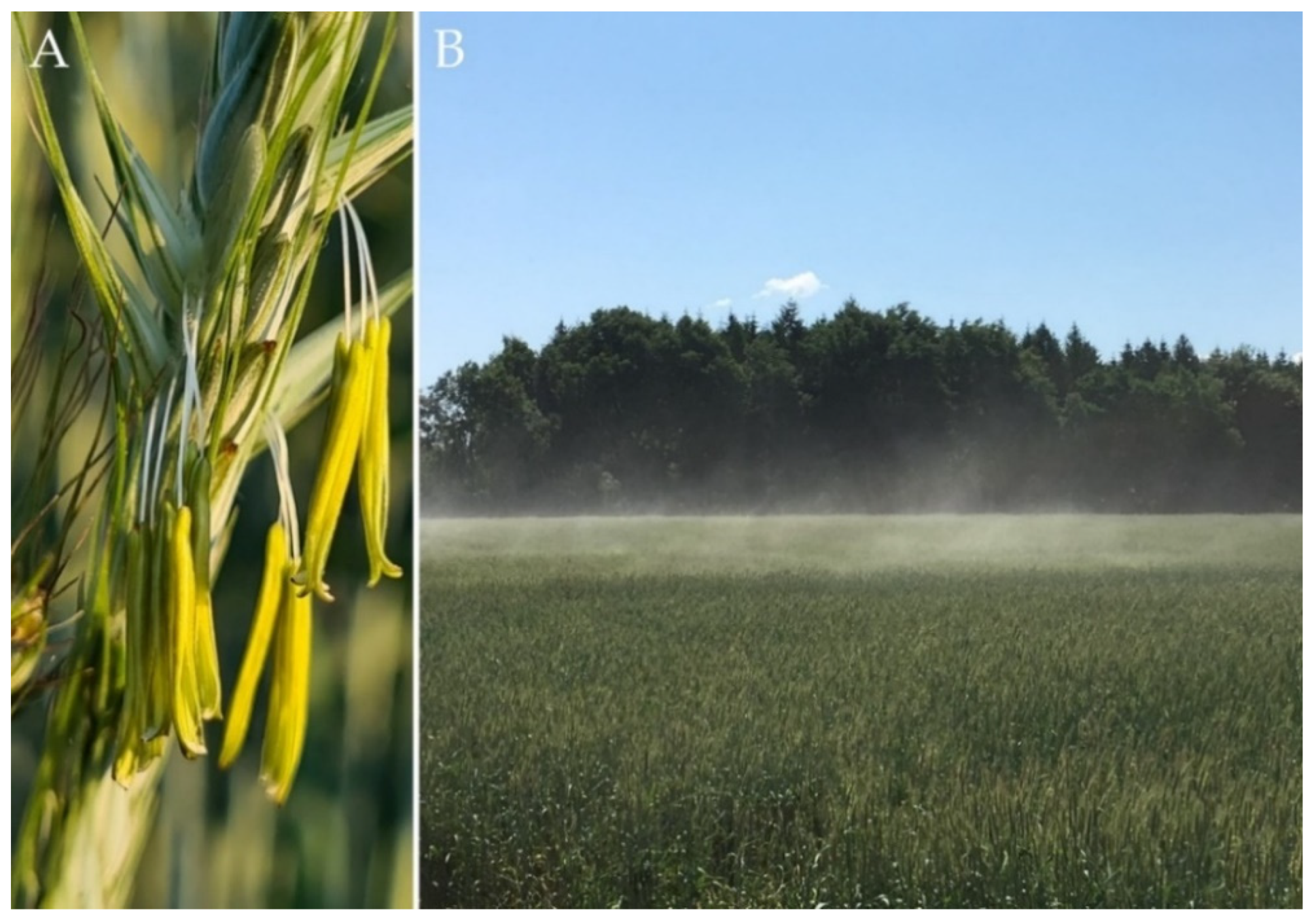 Plants 11 02666 g001