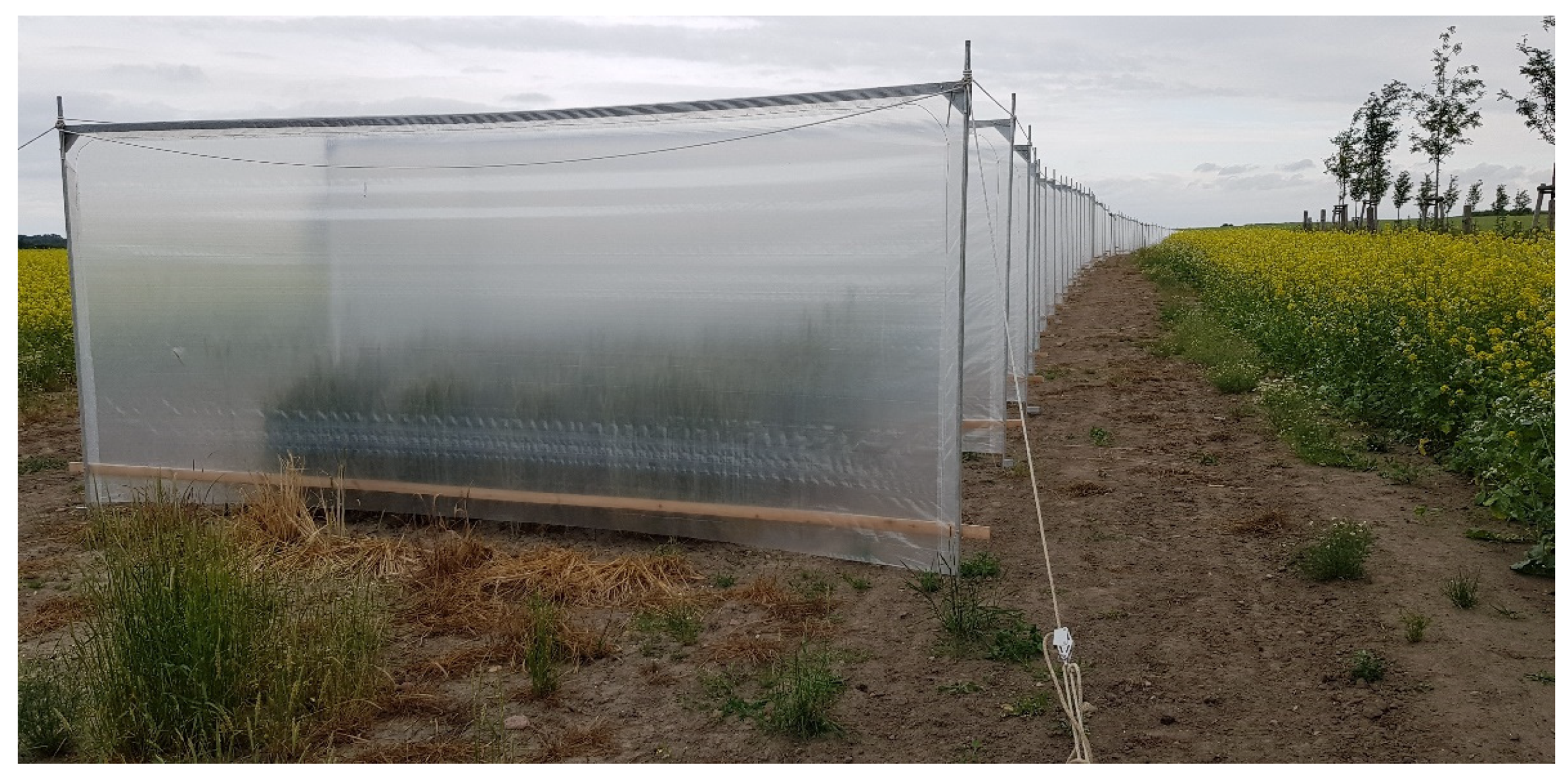 Plants 11 02666 g004