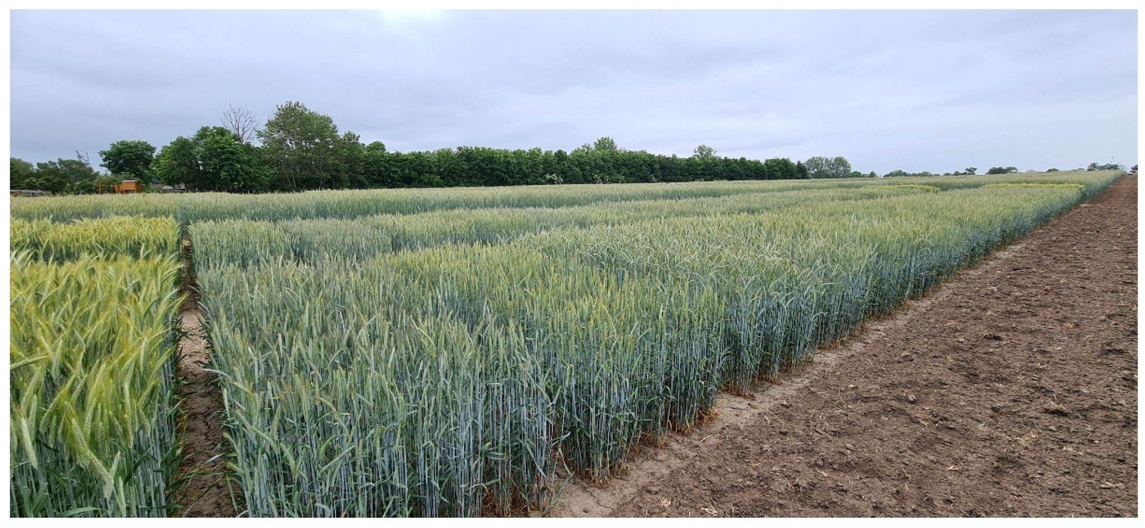 Plants 11 02666 g010