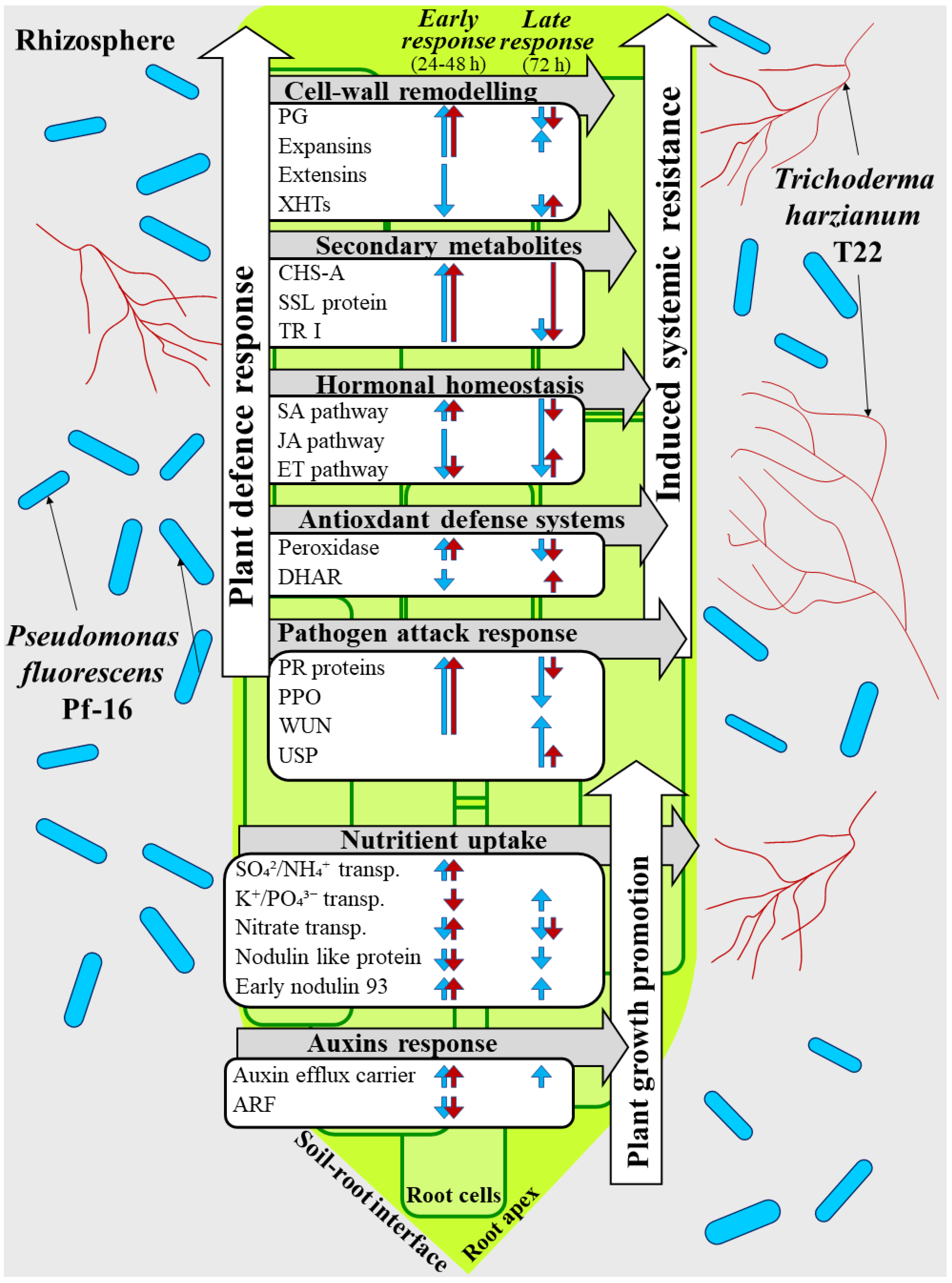 Plants 11 02672 g002 Plants 11 02672 g002