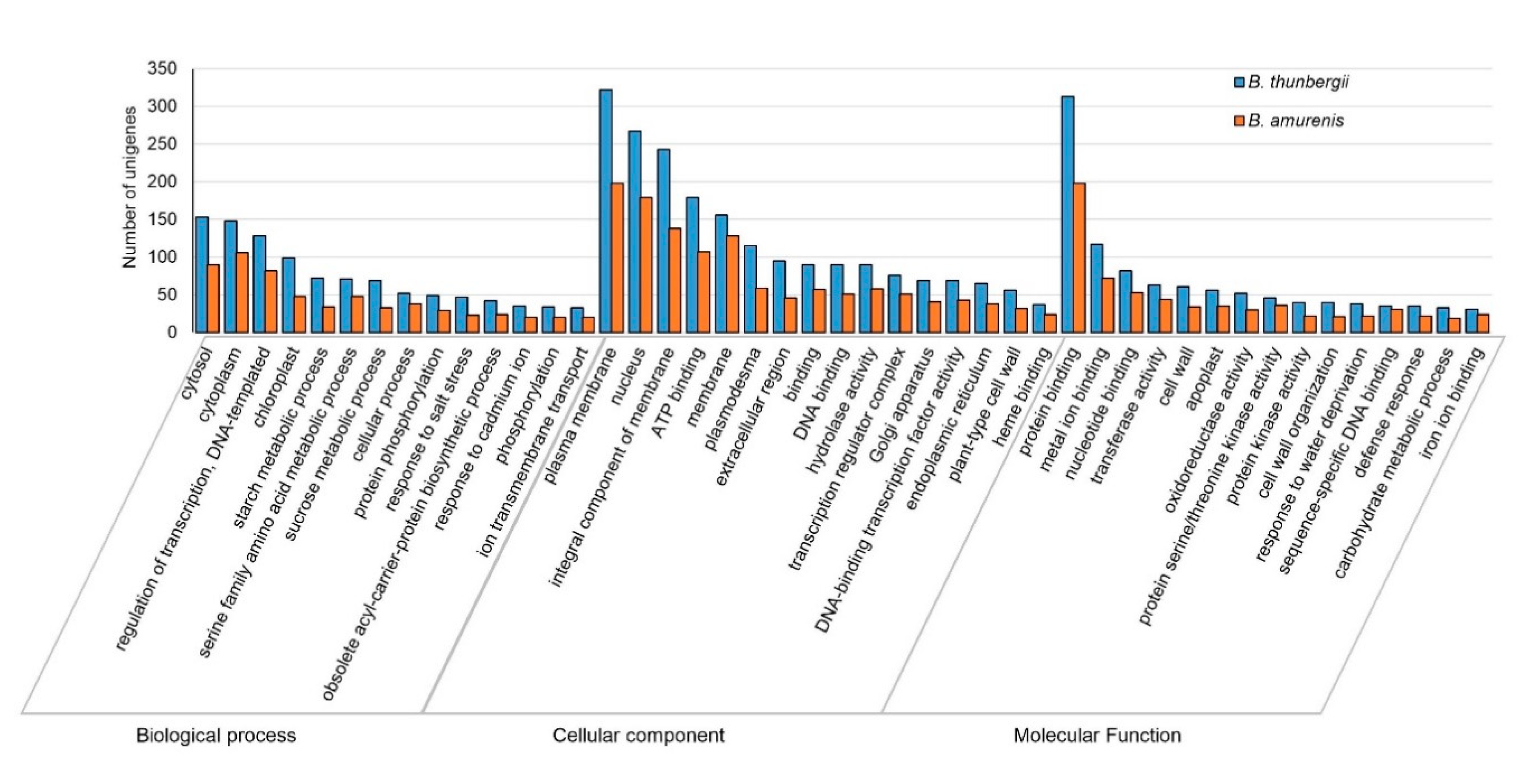 Plants 11 02676 g002