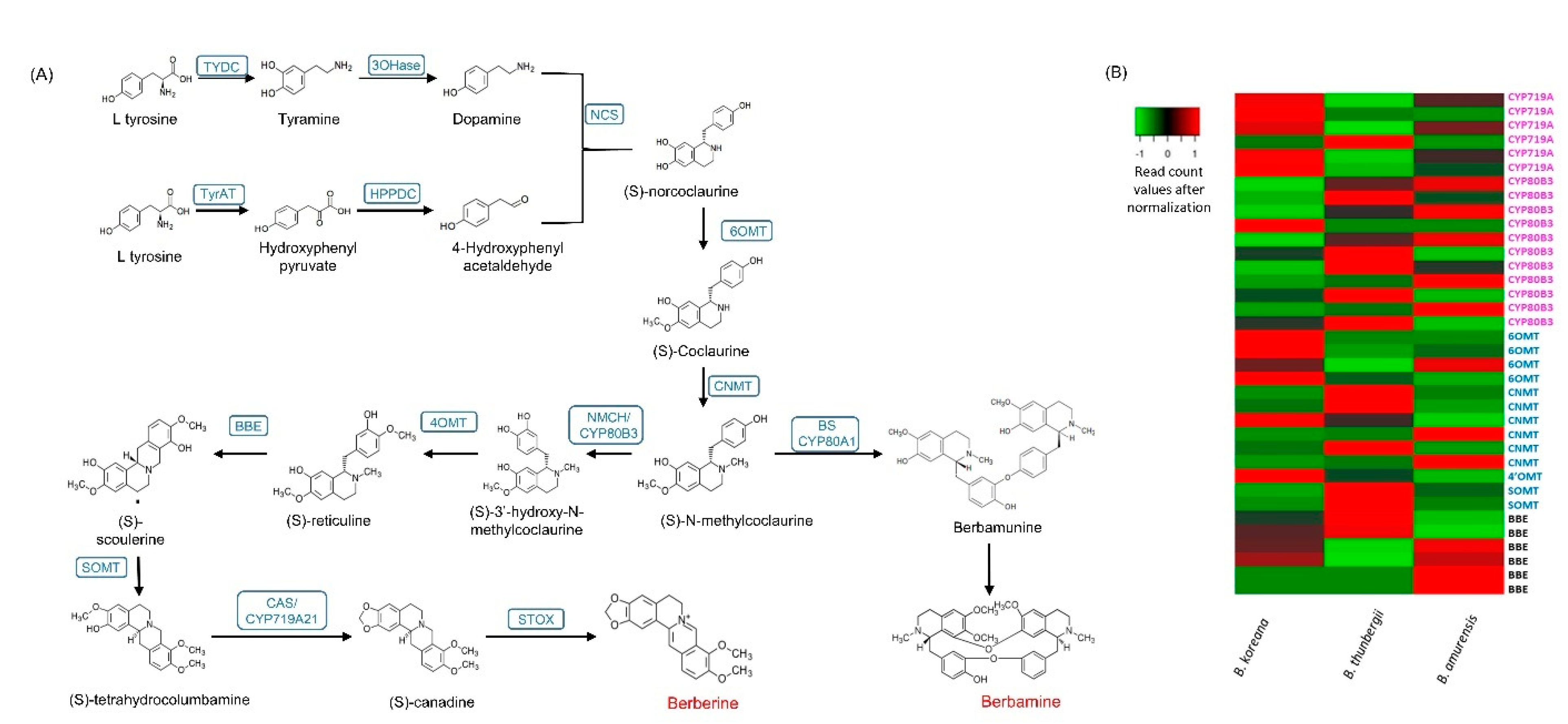 Plants 11 02676 g004