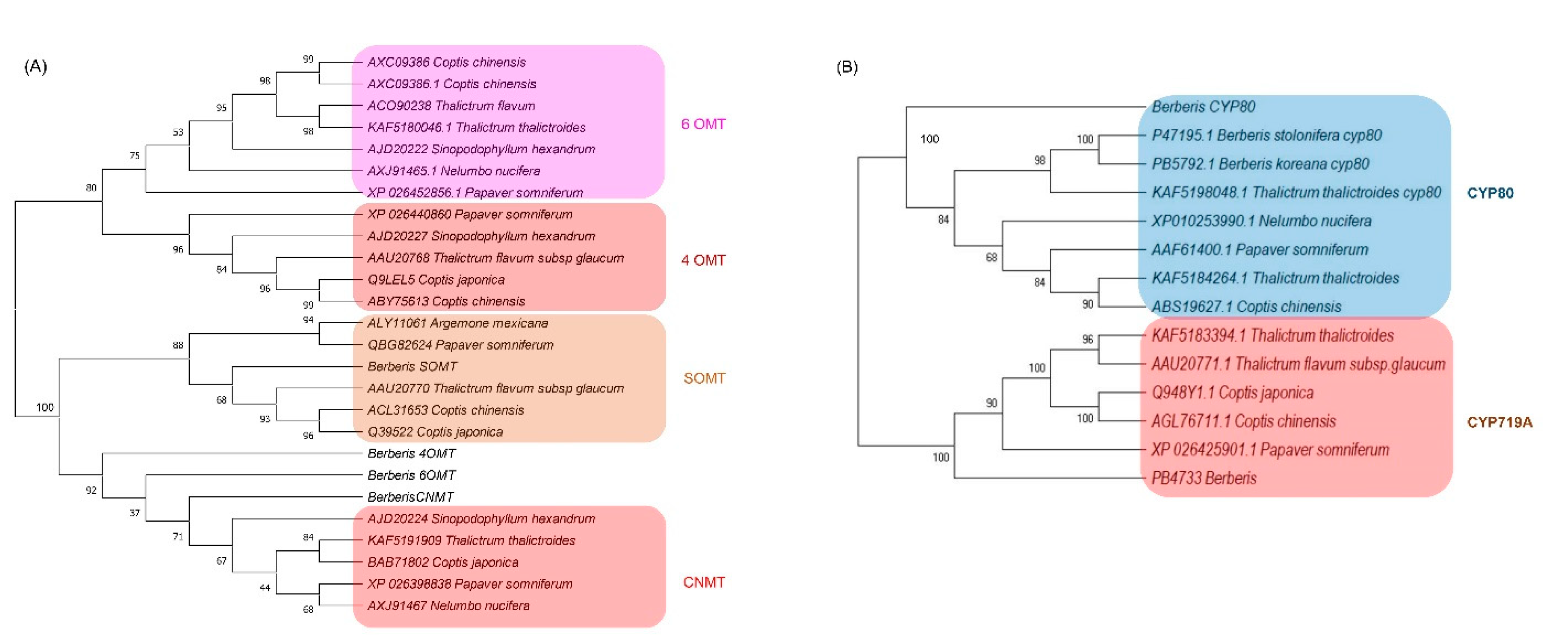 Plants 11 02676 g005