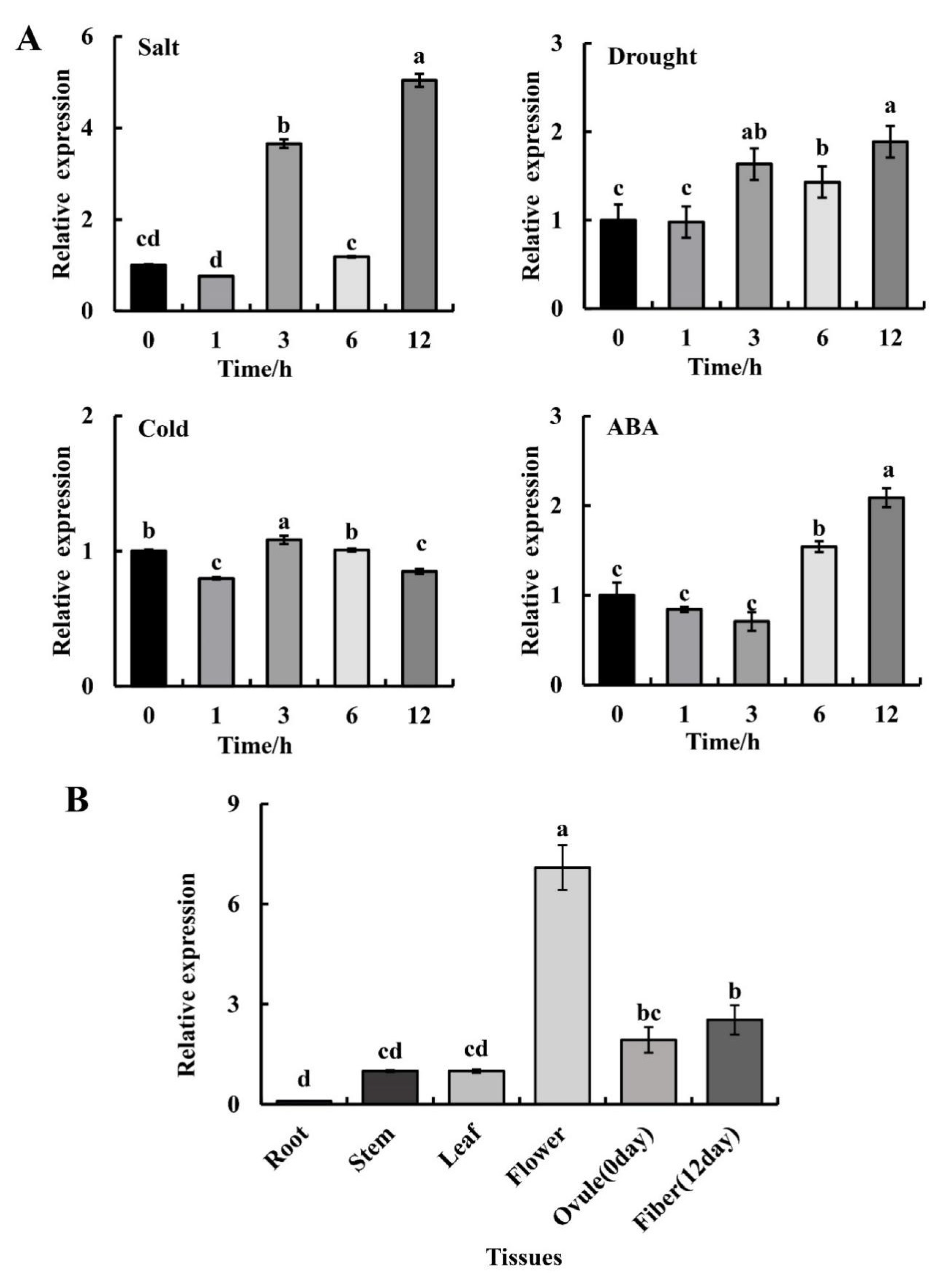 Plants 11 02694 g002