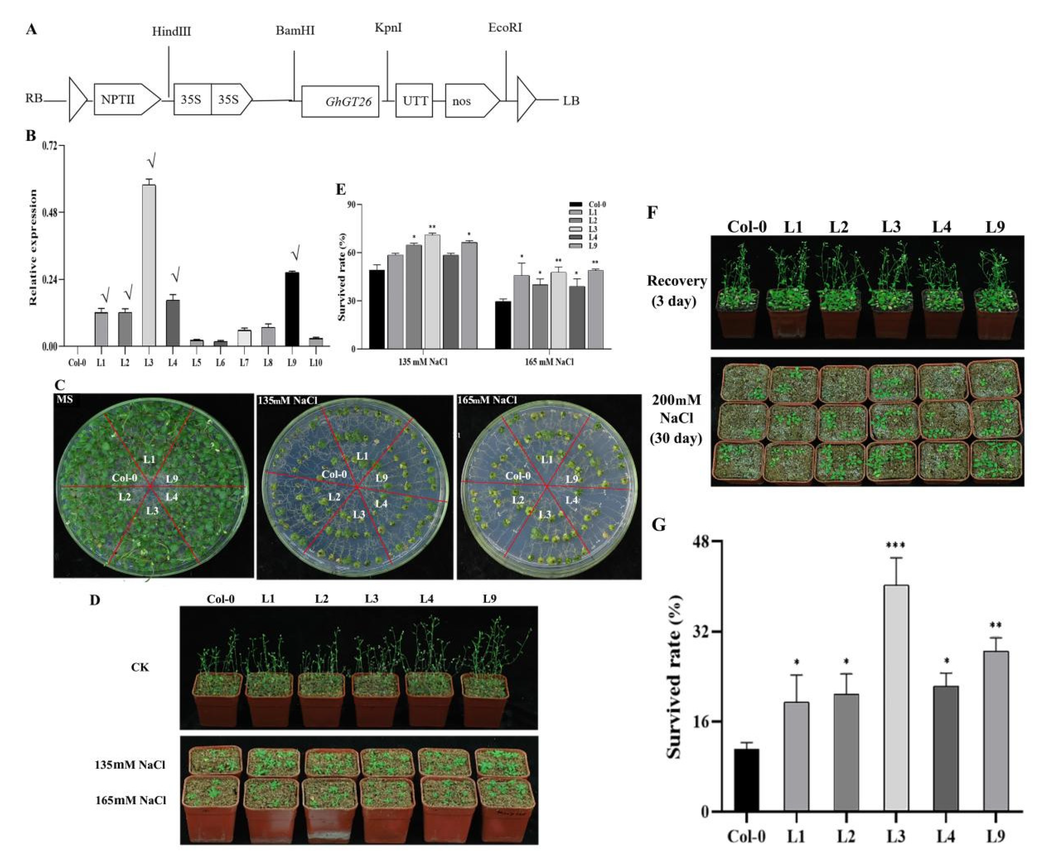 Plants 11 02694 g003