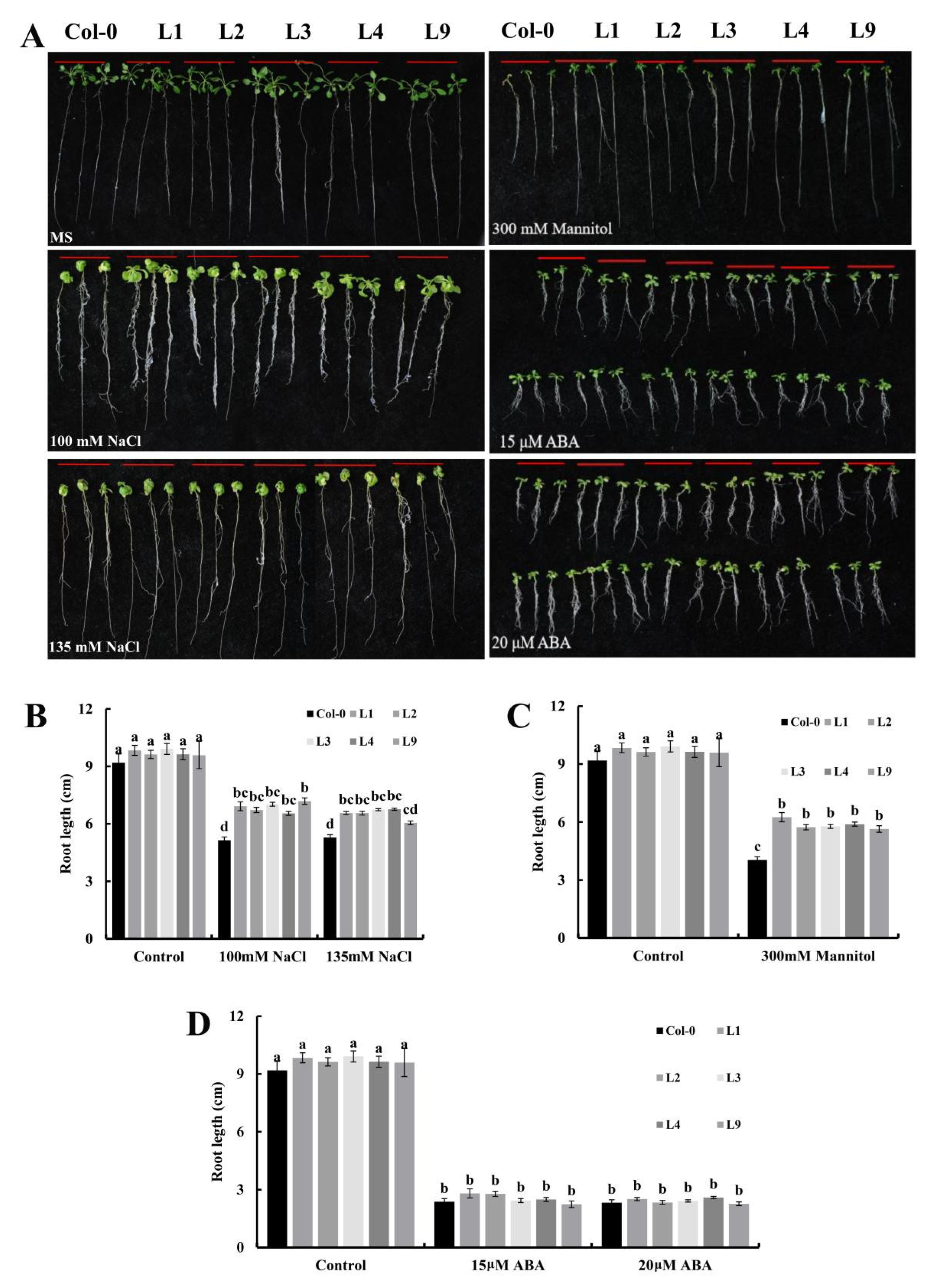 Plants 11 02694 g004