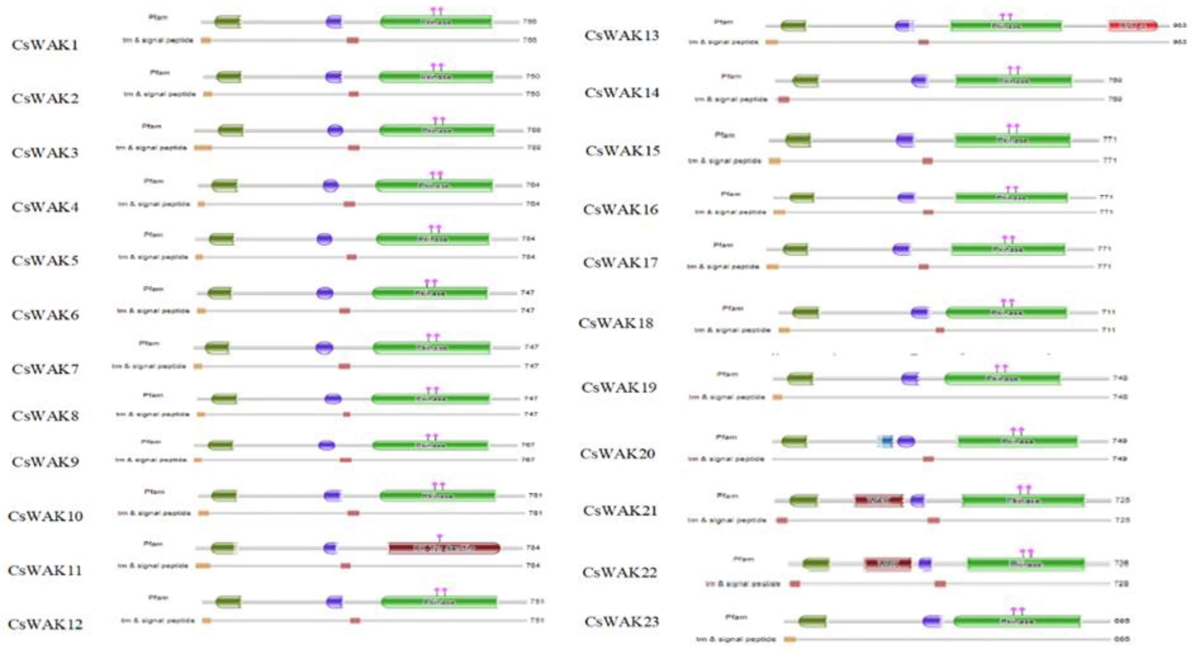 Plants 11 02703 g001a